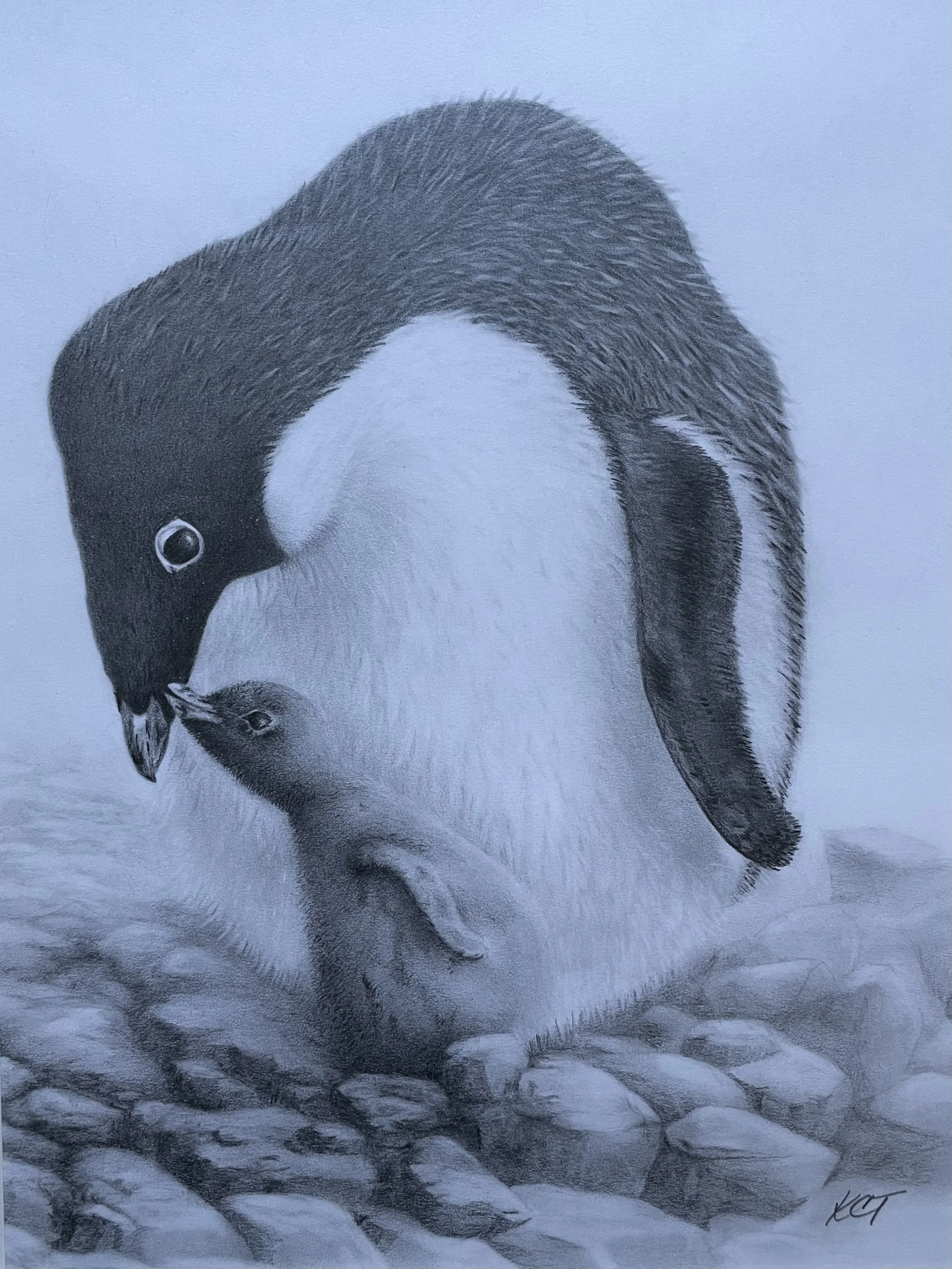 23 - %22Penguin%22.jpg