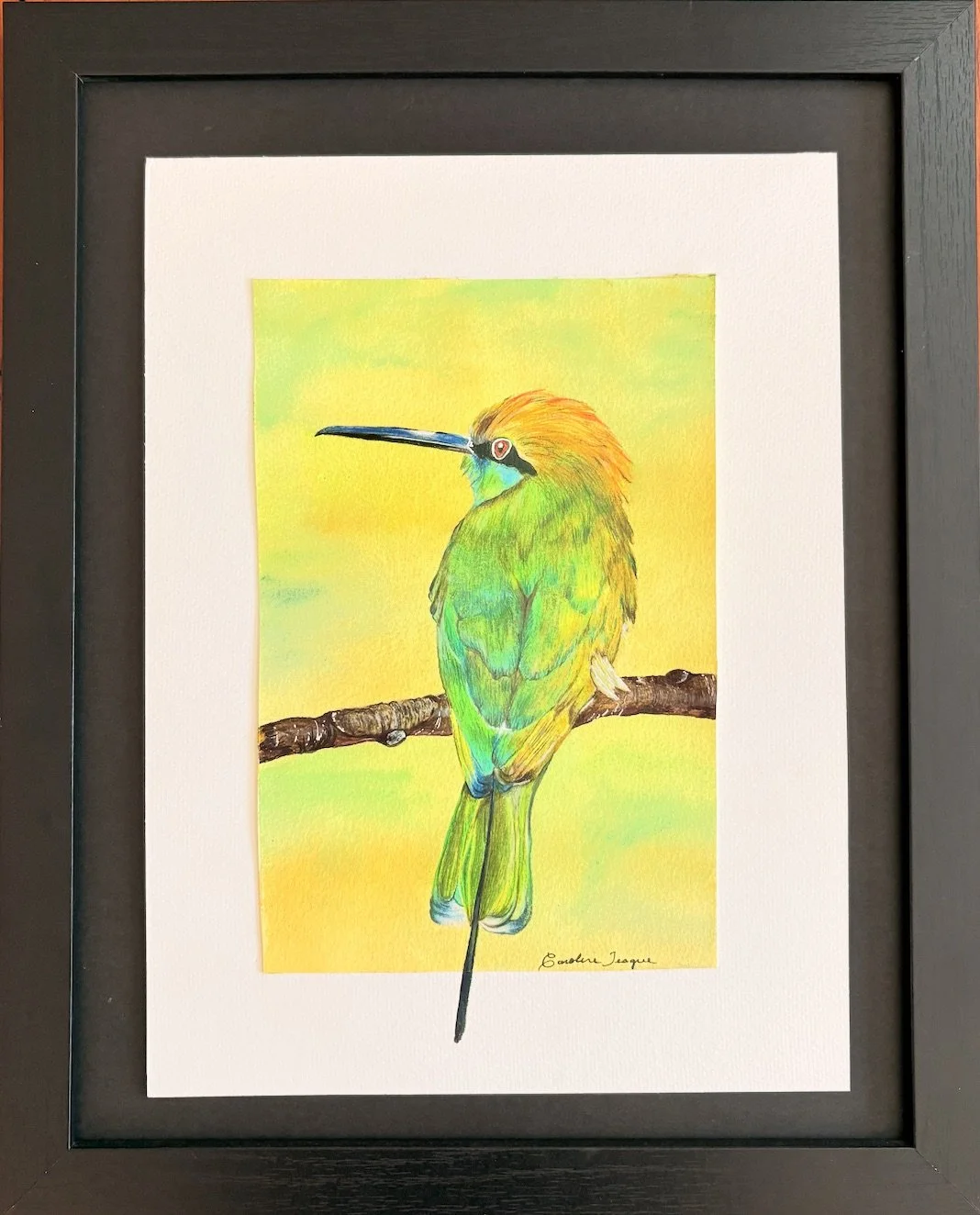 Teague - Green Bee-Eater - Caroline Teague.jpeg