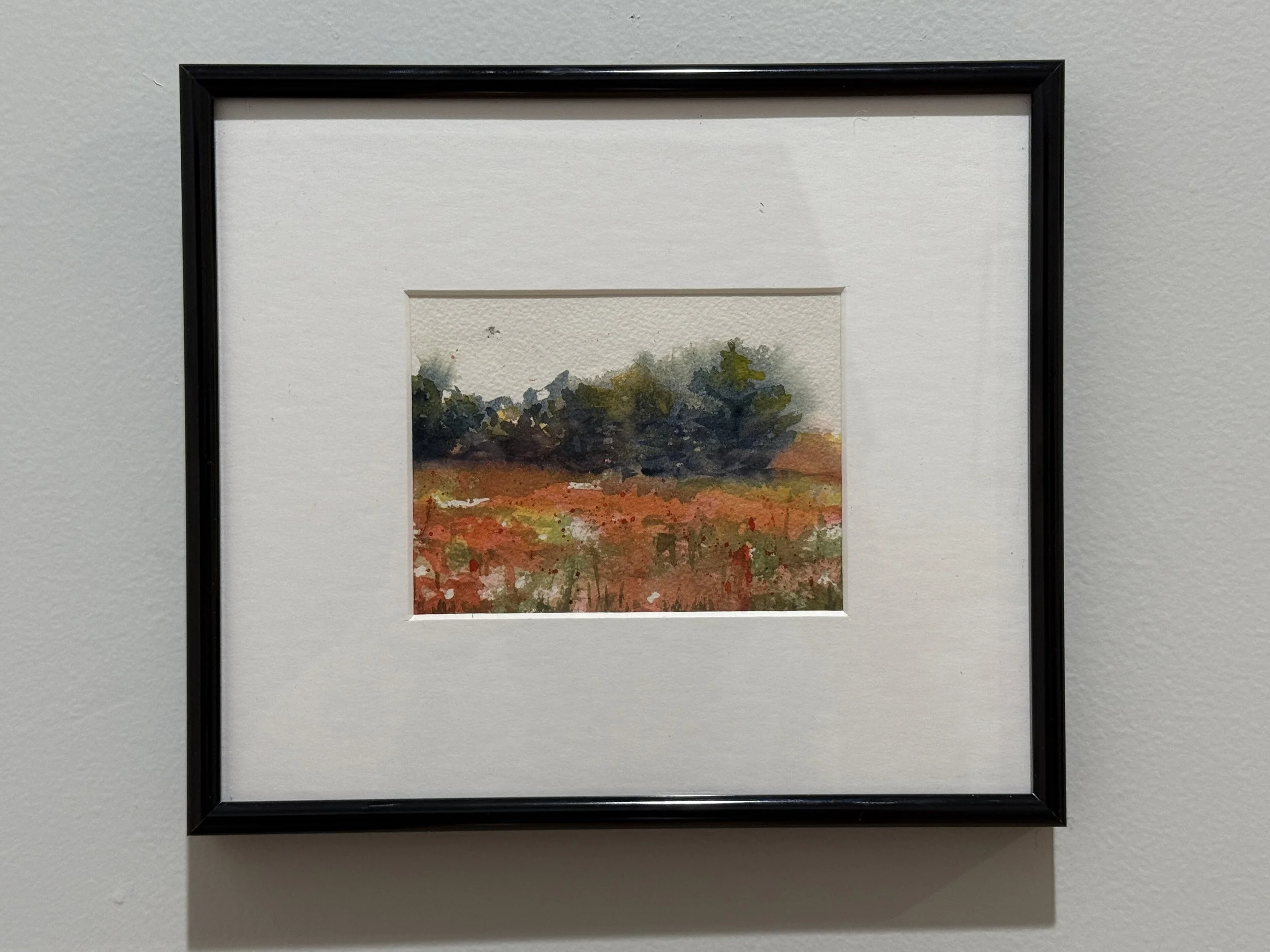 Crosbie - Poppies, Capestang.JPG