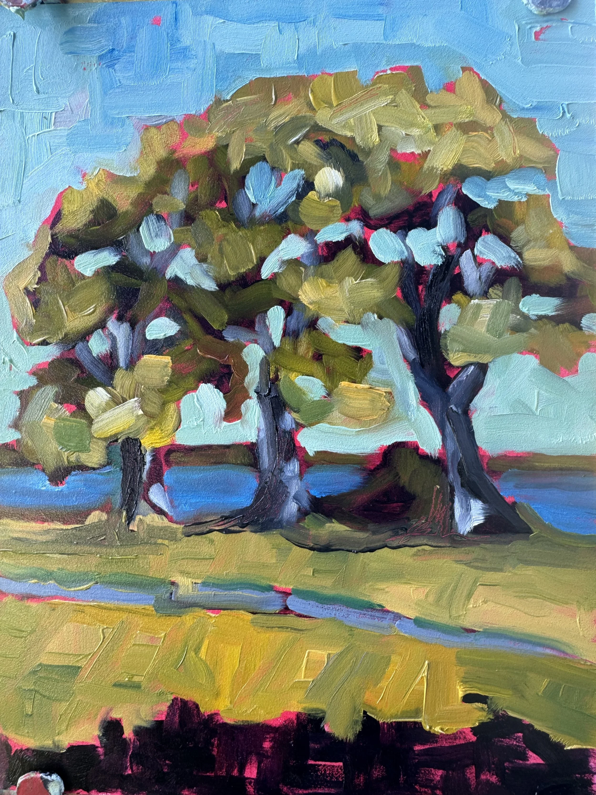 Carroll - The Space Between Trees.jpeg