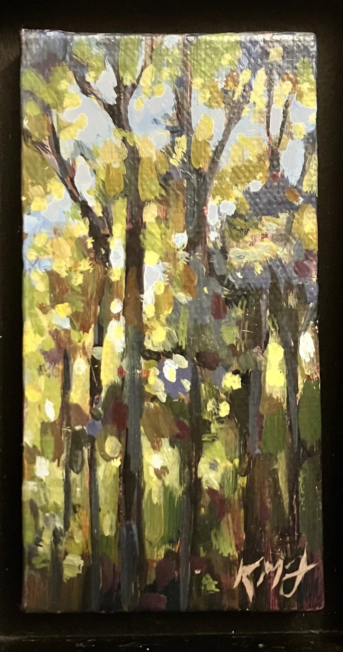 Passing Light - Kerrie James (1).jpeg