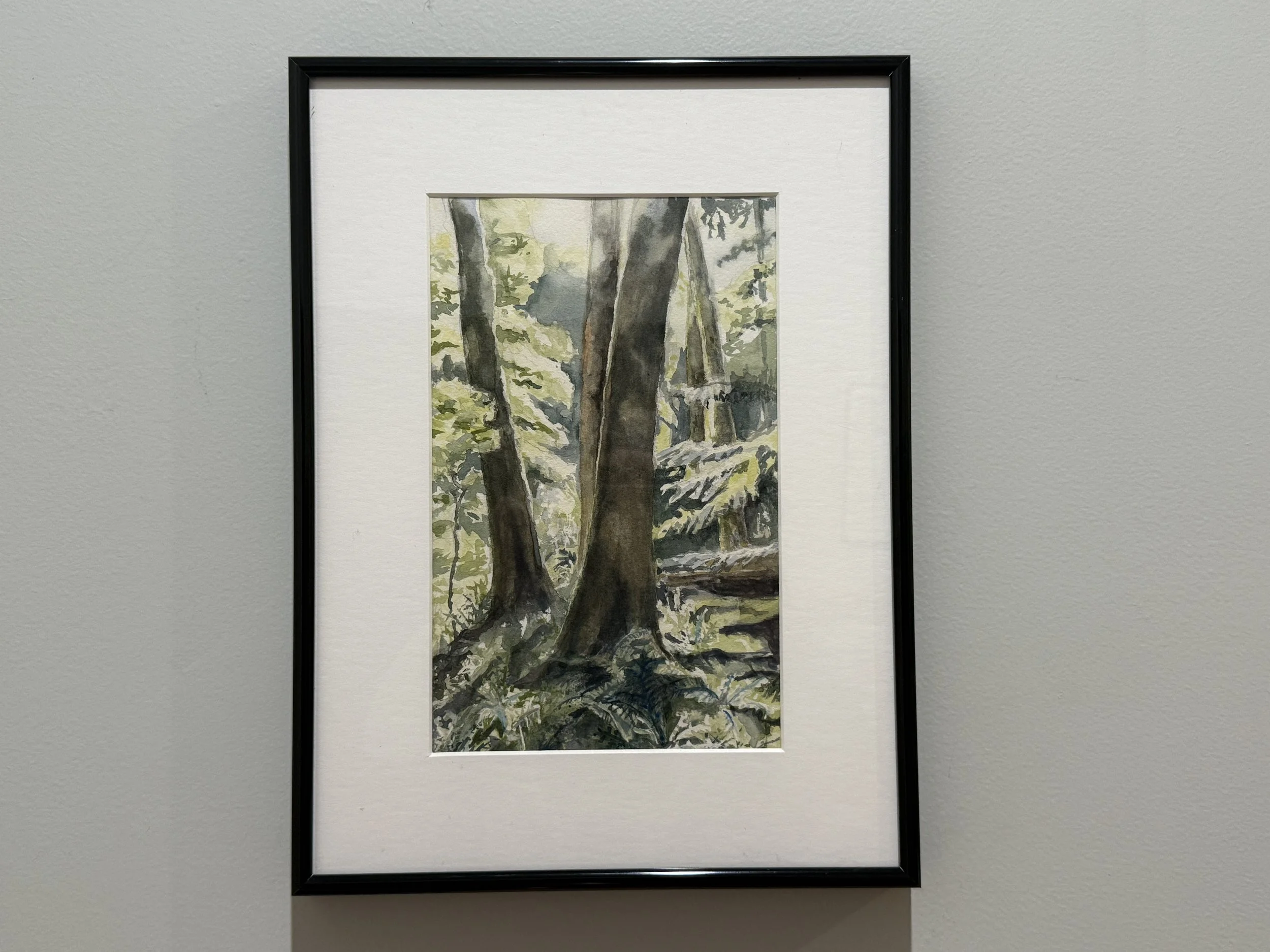 Crosbie - Forest Light.JPG