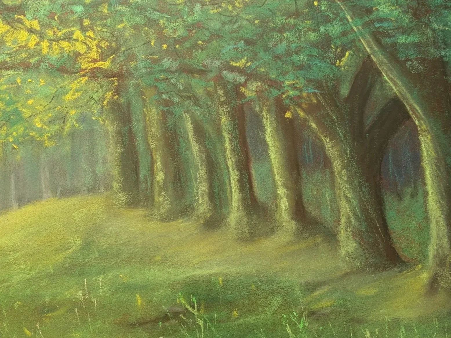 Gorman-+Trees.jpg