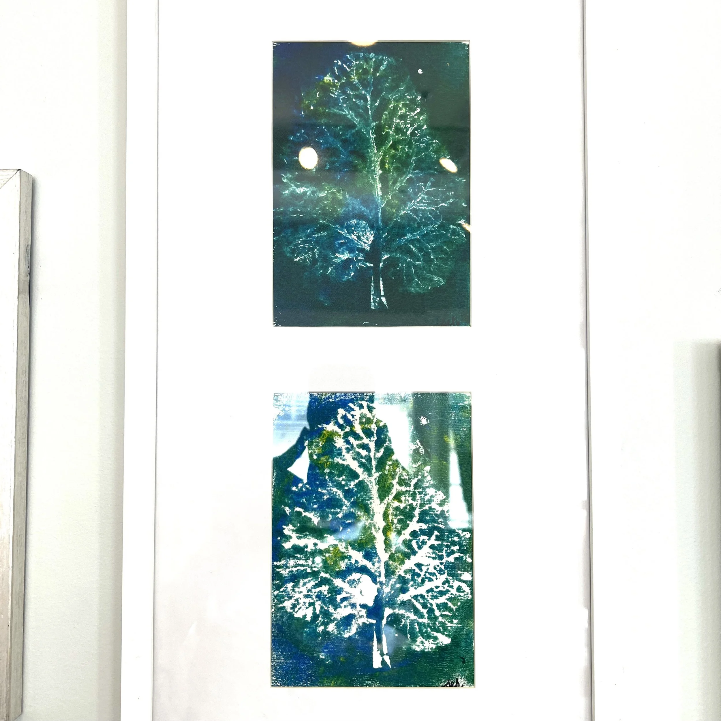 11 - Henderson - Articum Minus.jpeg