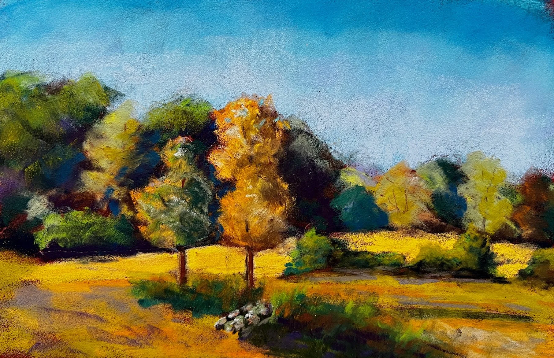 Meredith Farm #6 - Monica pepicelli.jpg