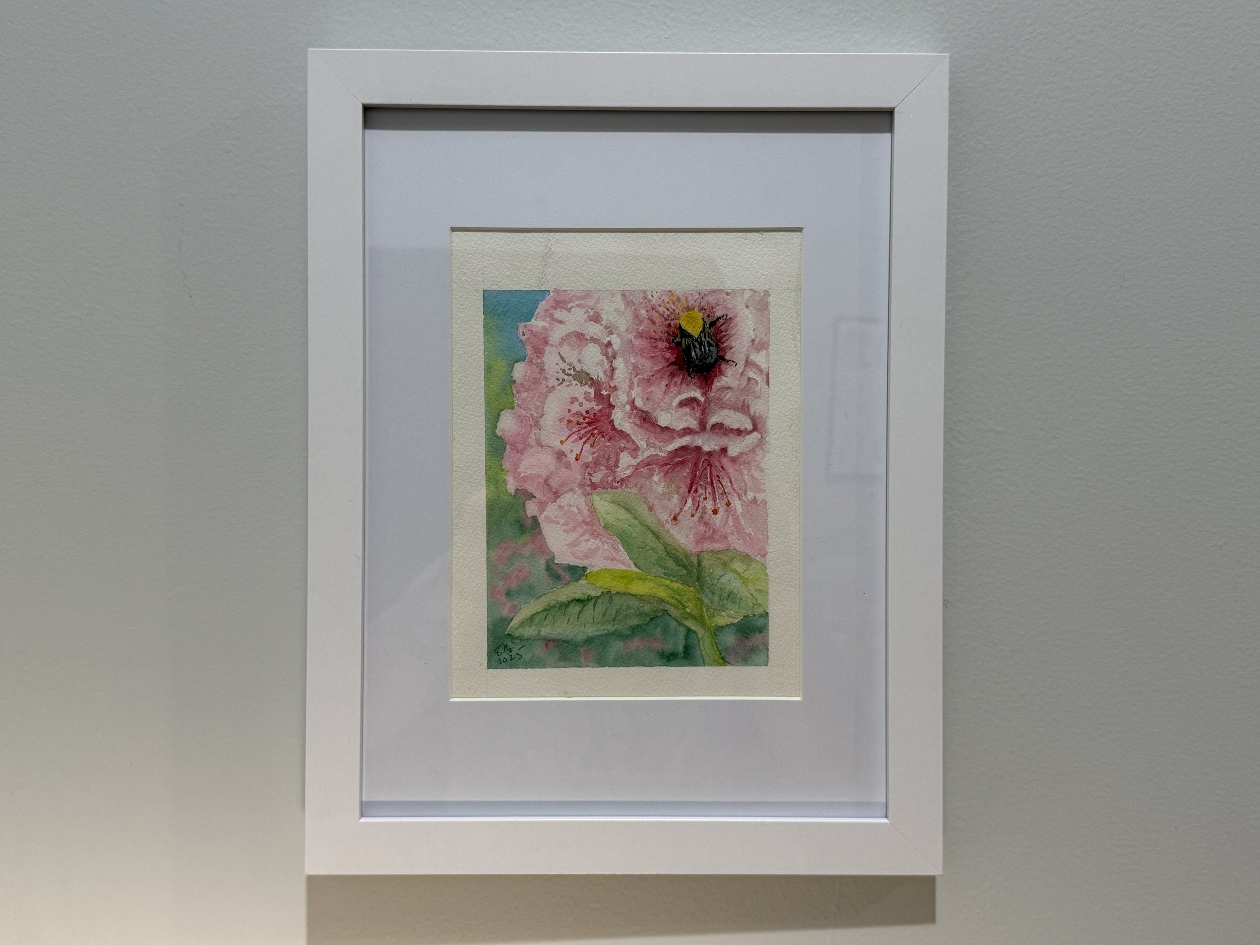 Leonard - Bumblee.JPG