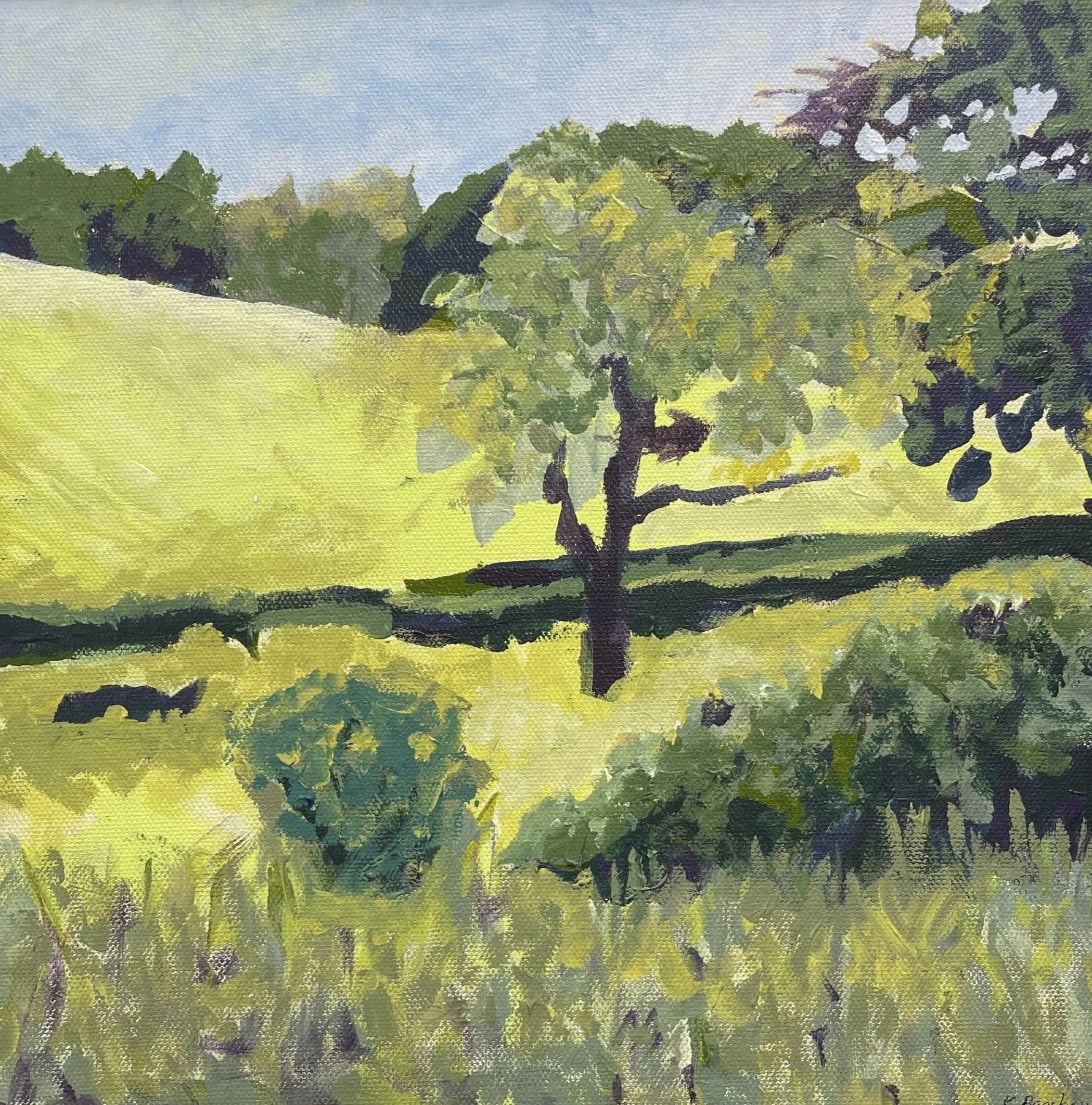 Bagshaw+-+Landscape+field+%234.jpg