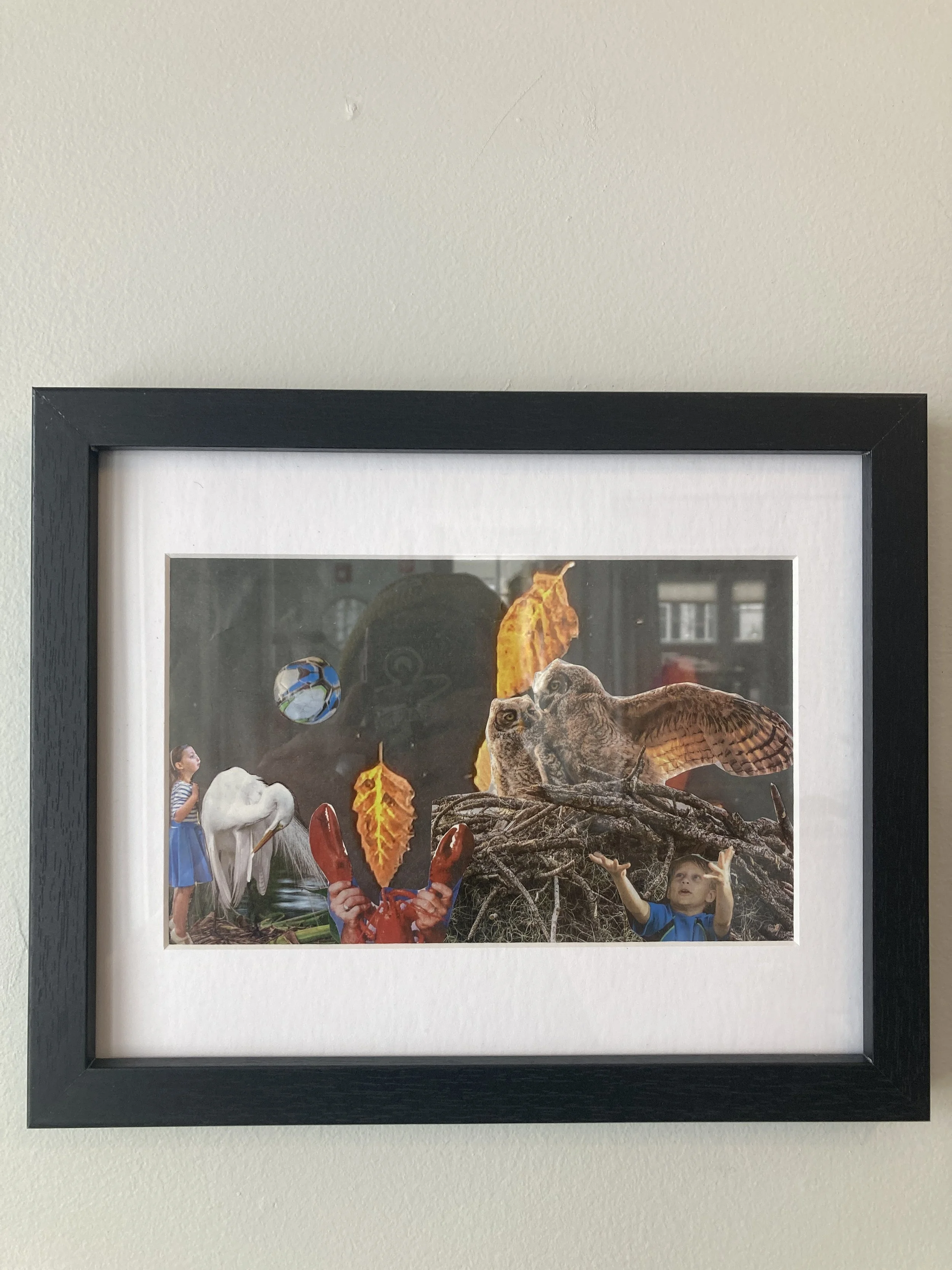 53 - Symmes - Untangling.JPG