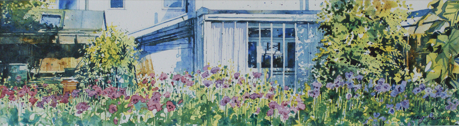 The plot, poppies in bloom 51x14cm