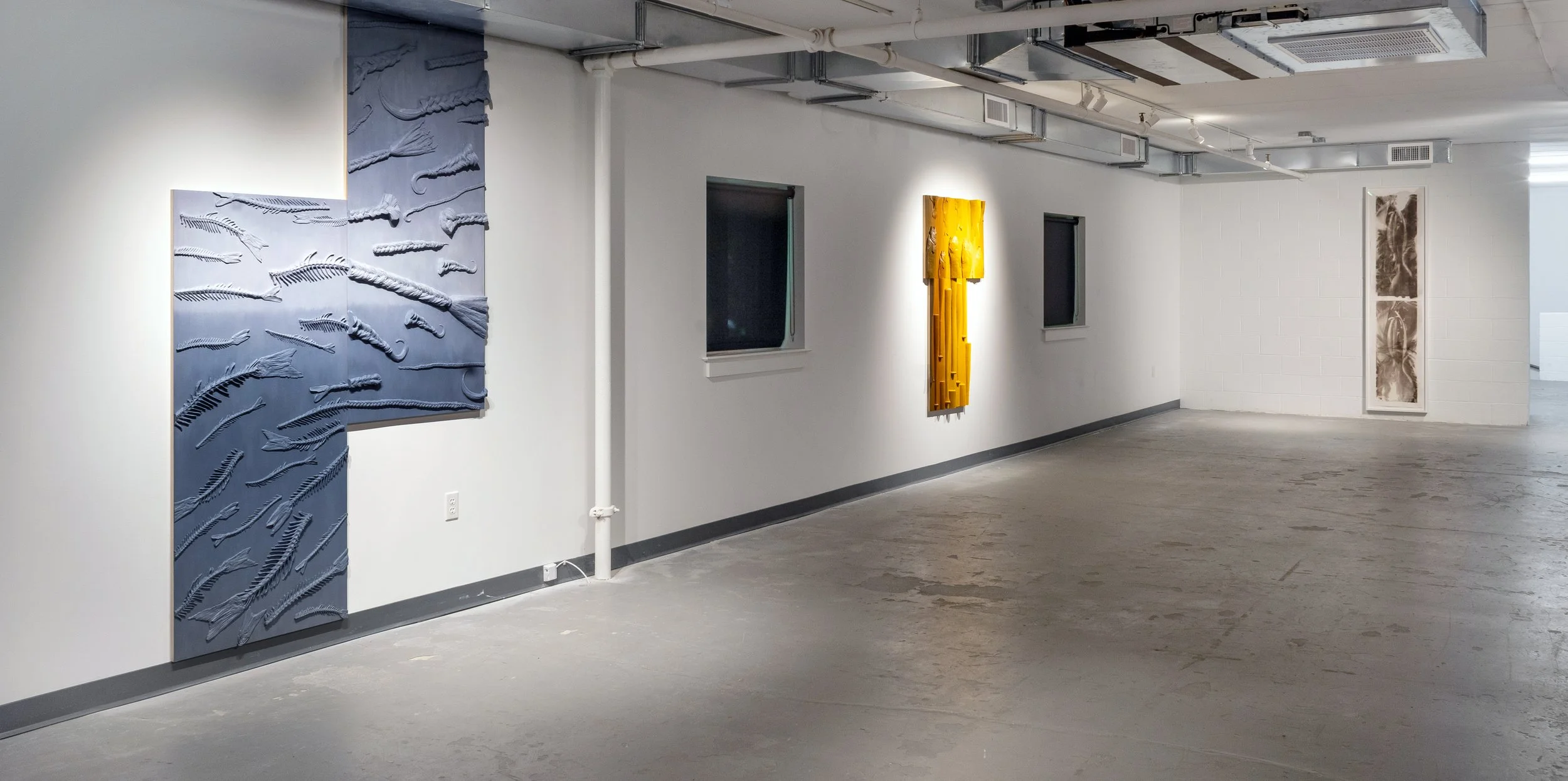 Installation View.jpg