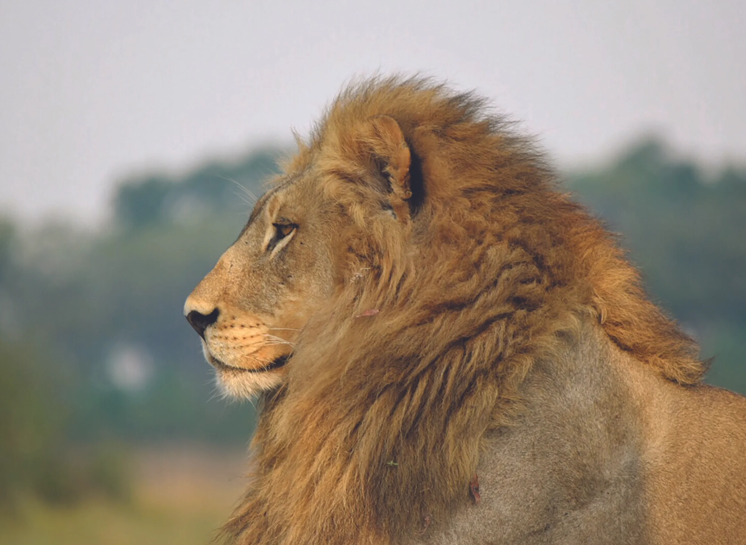 Botswana