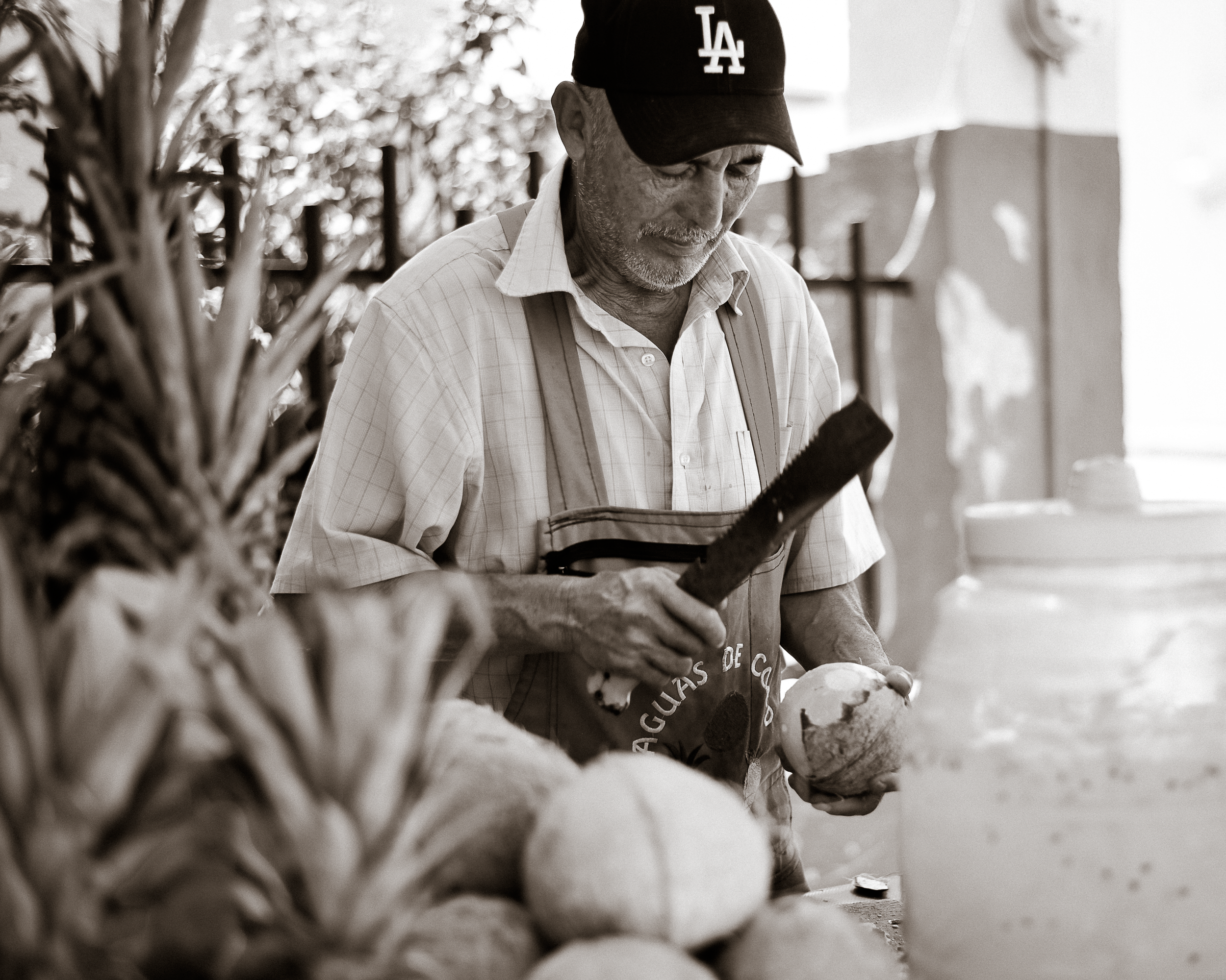 Gí_Tenamá_Photographer_Los_Angeles----5.png