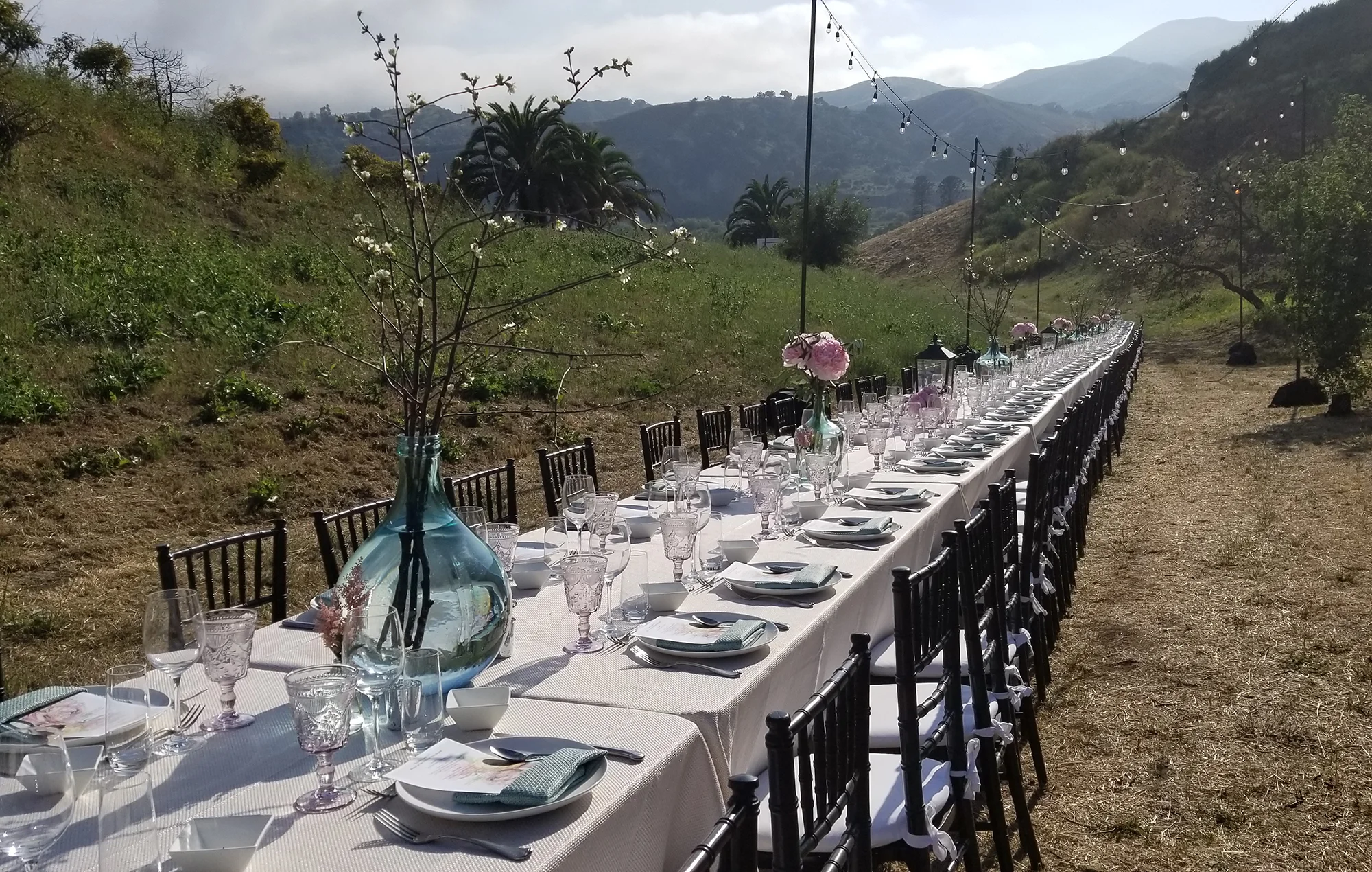 LDV-catering16.jpg