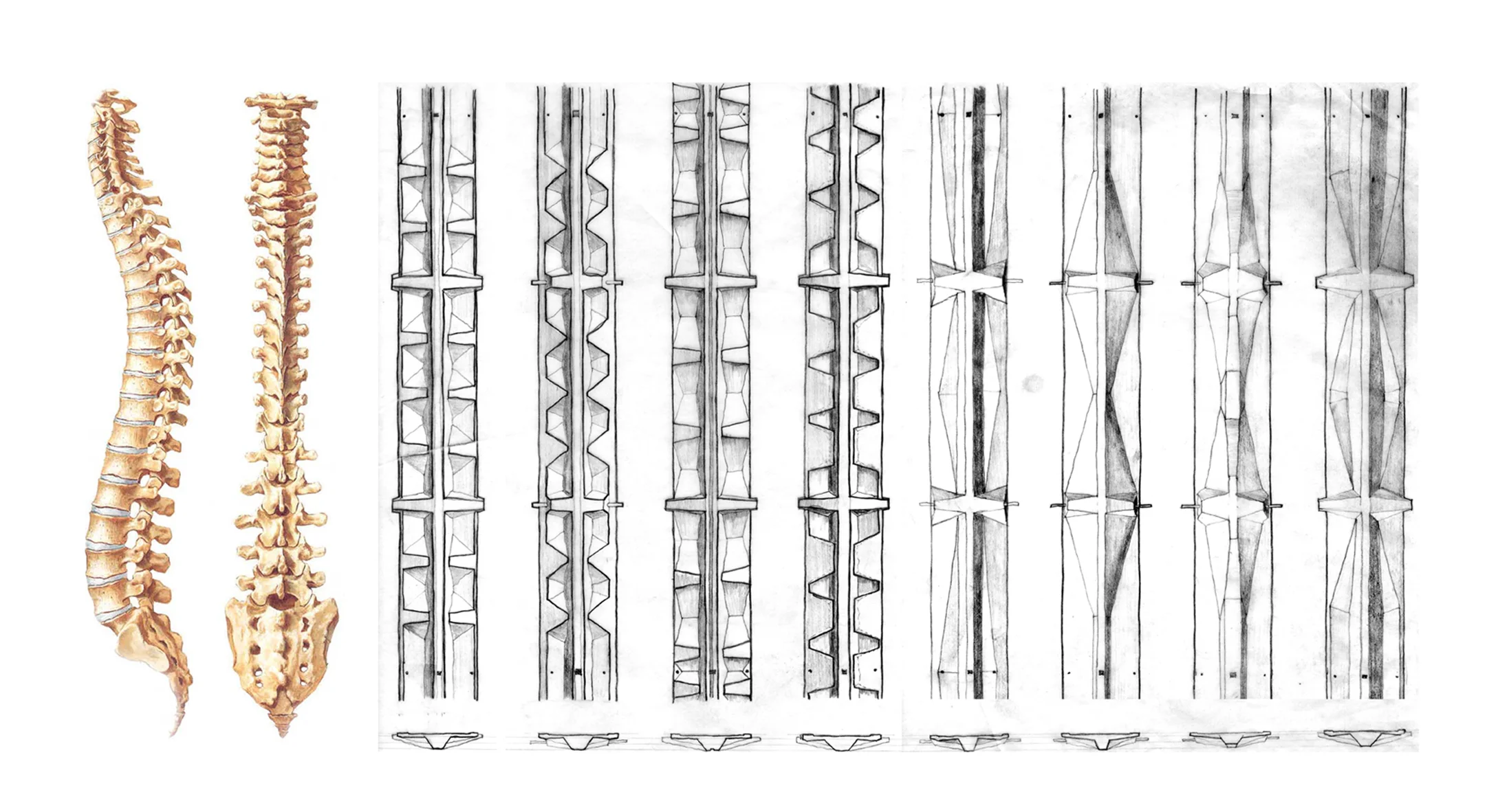Deck Process Composite copy.jpg