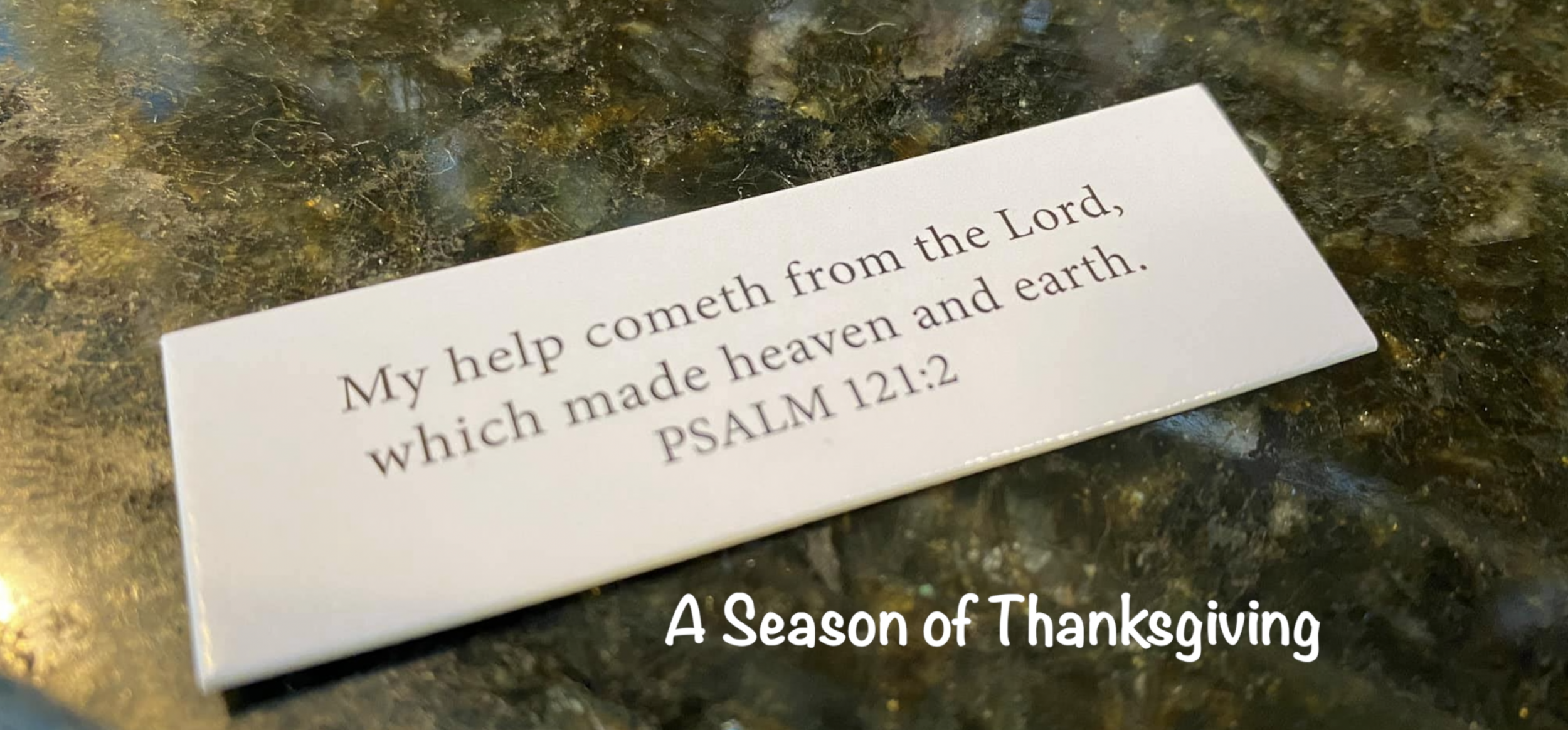 Living Freer: A Season of Thanksgiving Day 9