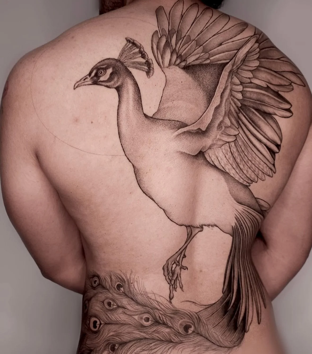 R E S I D E N T  A R T I S T // B R O N T E
B O O K S  O P E N // @reevesvbeee 

E L Y S I A N  T A T T O O  C O // @elysiantattooco