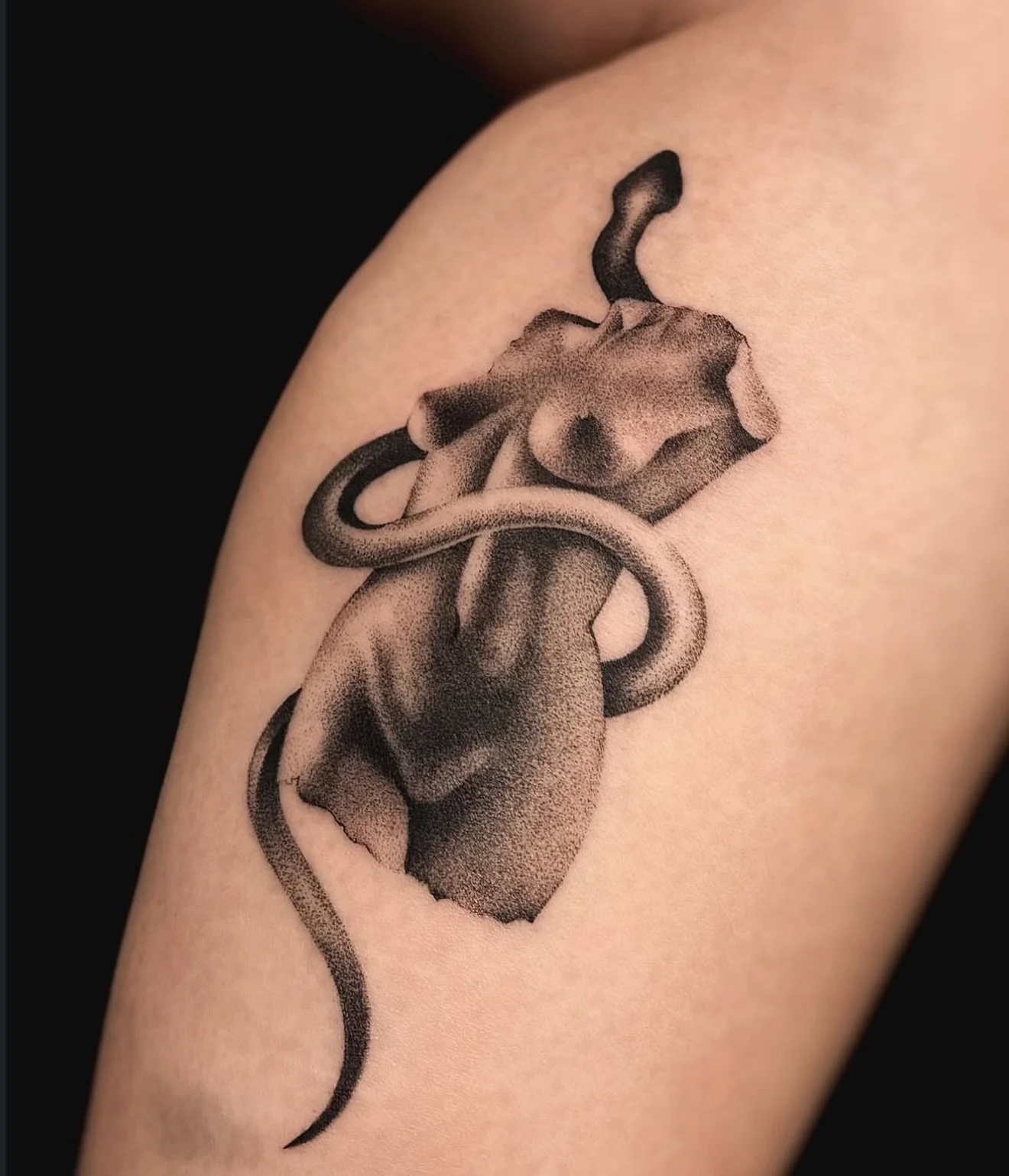 R E S I D E N T  A R T I S T // D I S N E Y
B O O K S  O P E N // @disney.inked 

E L Y S I A N  T A T T O O  C O // @elysiantattooco