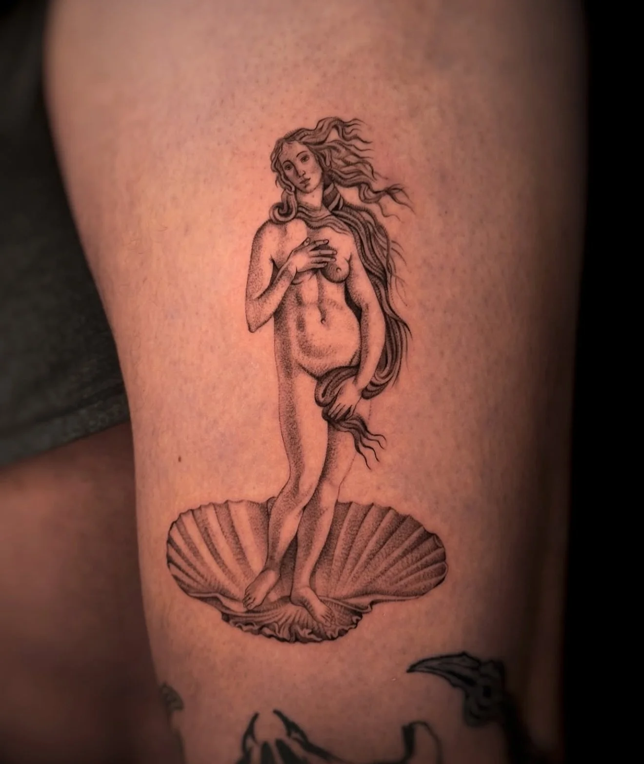 R E S I D E N T  A R T I S T // E L L E N 
@e.hayes.art 

E L Y S I A N  T A T T O O  C O // @elysiantattooco