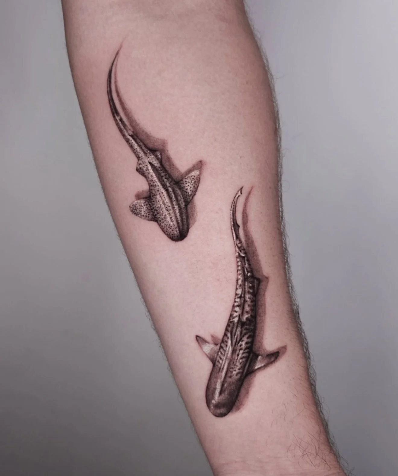 R E S I D E N T  A R T I S T // 
@soniaparistattoo 

E L Y S I A N  T A T T O O  C O // @elysiantattooco