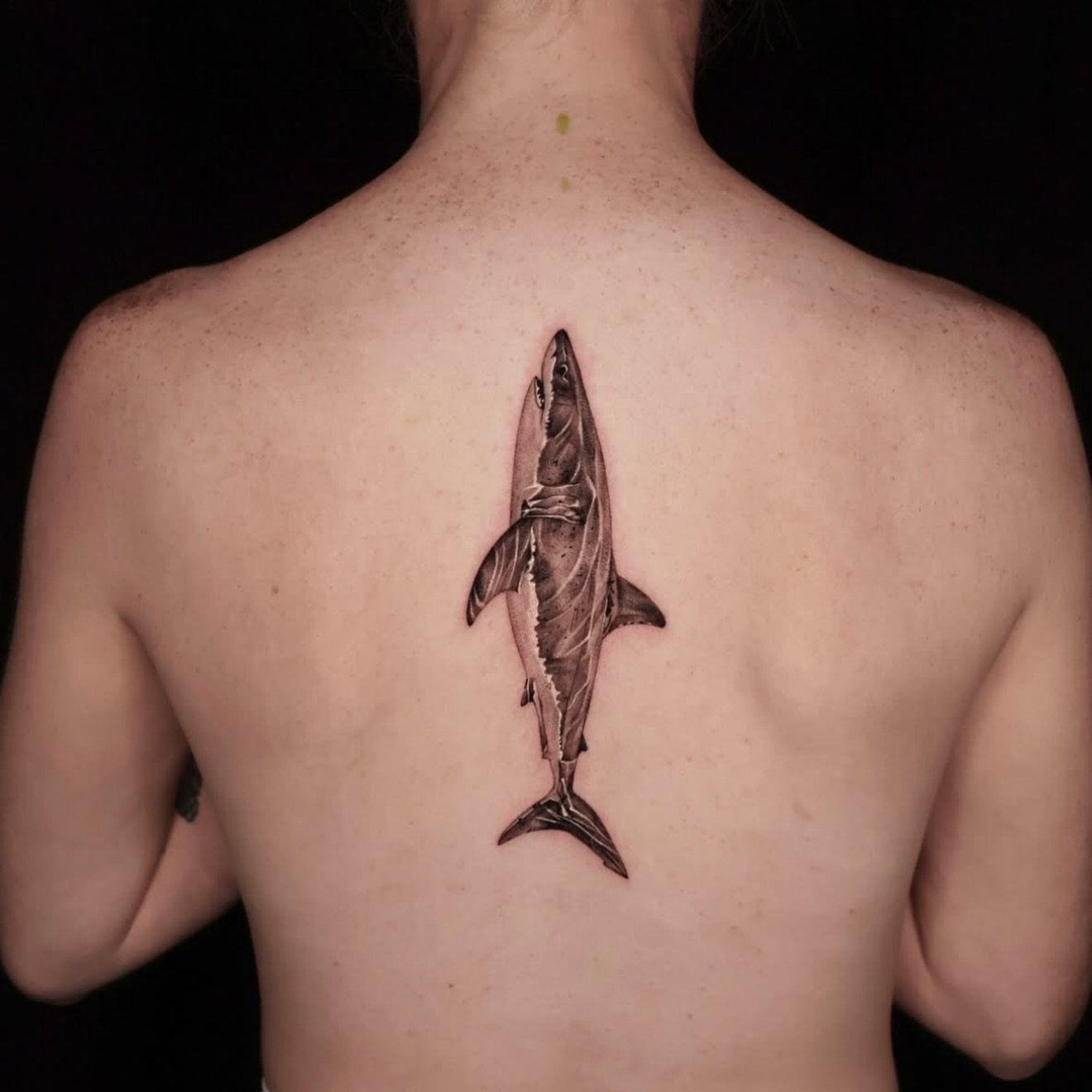 R E S I D E N T  A R T I S T // 
@kimleetattoo 

E L Y S I A N  T A T T O O  C O // @elysiantattooco