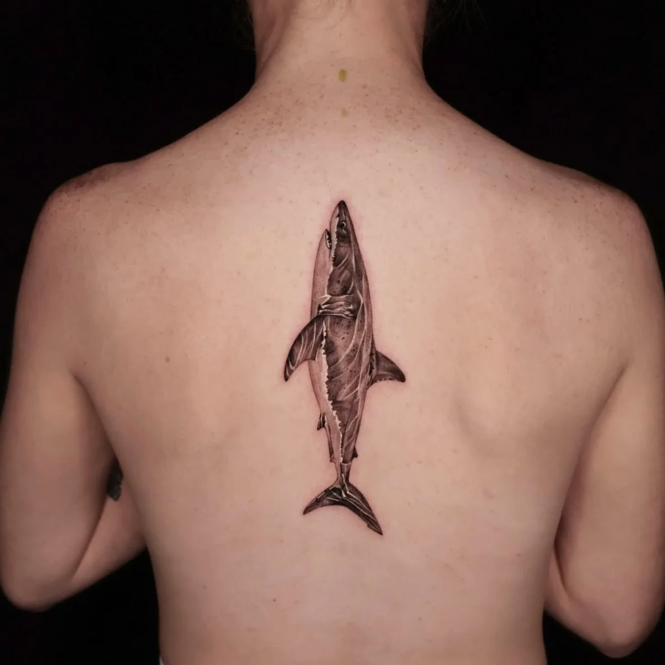 R E S I D E N T  A R T I S T // 
@kimleetattoo 

E L Y S I A N  T A T T O O  C O // @elysiantattooco