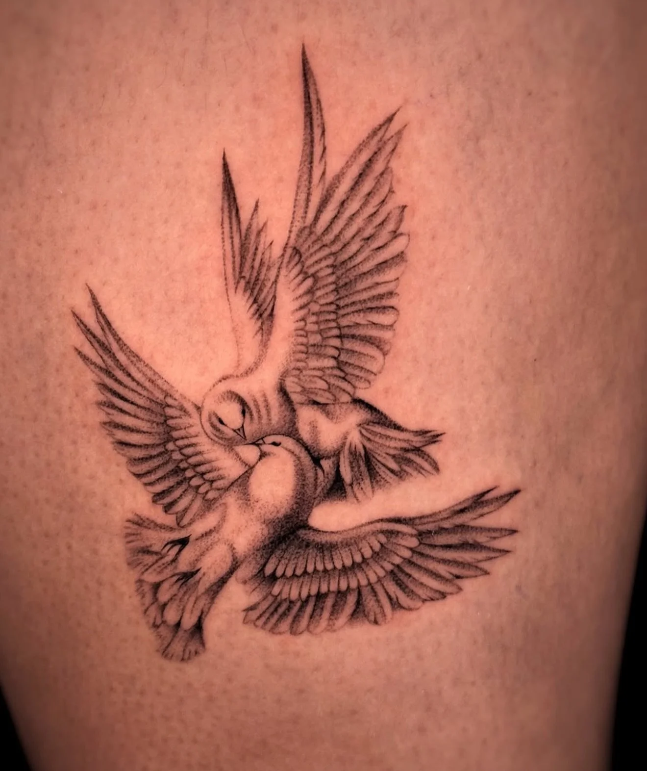 R E S I D E N T  A R T I S T // E L L E N 
@e.hayes.art 

E L Y S I A N  T A T T O O  C O // @elysiantattooco