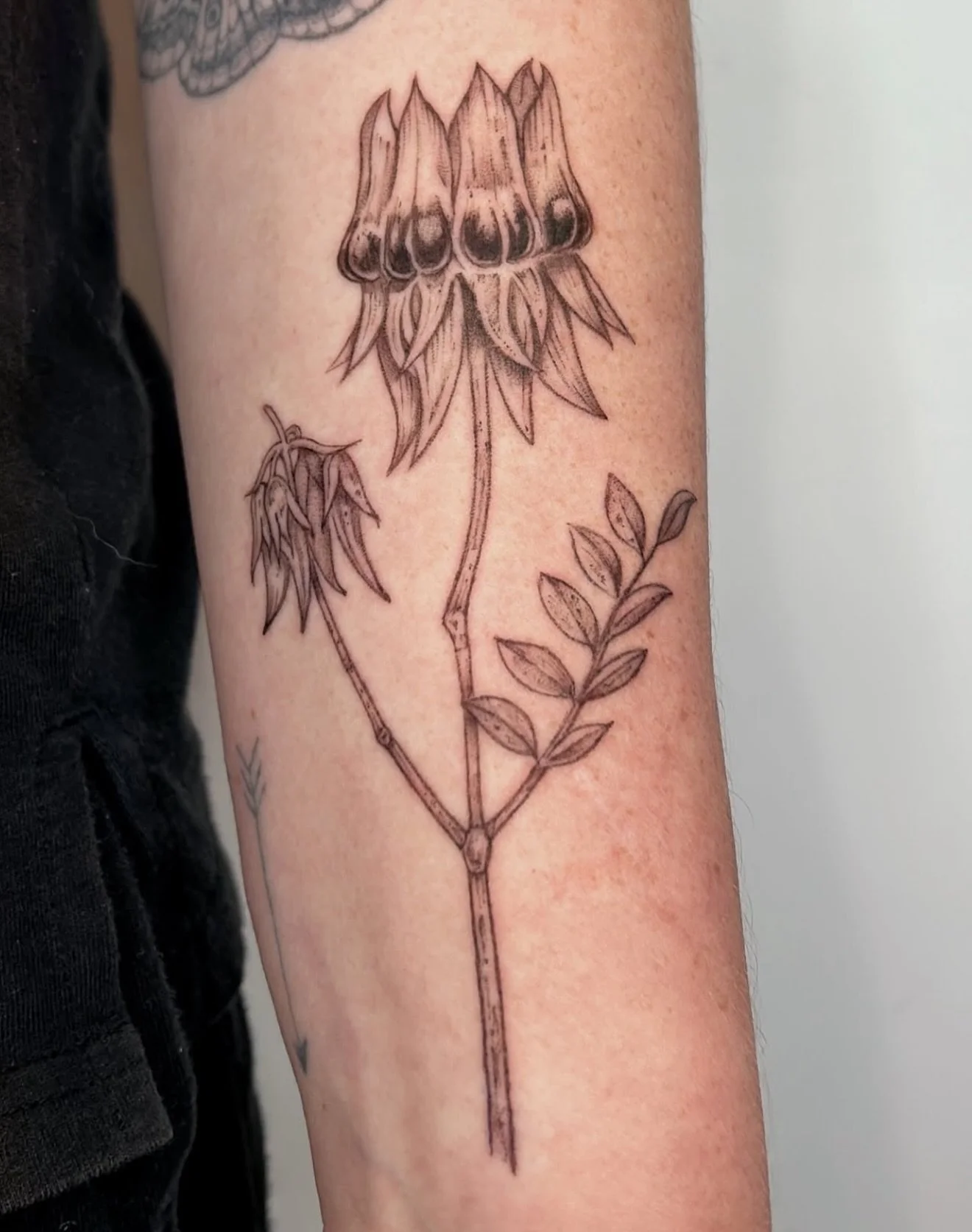 R E S I D E N T  A R T I S T // 
@shaharfoux 

E L Y S I A N  T A T T O O  C O // @elysiantattooco