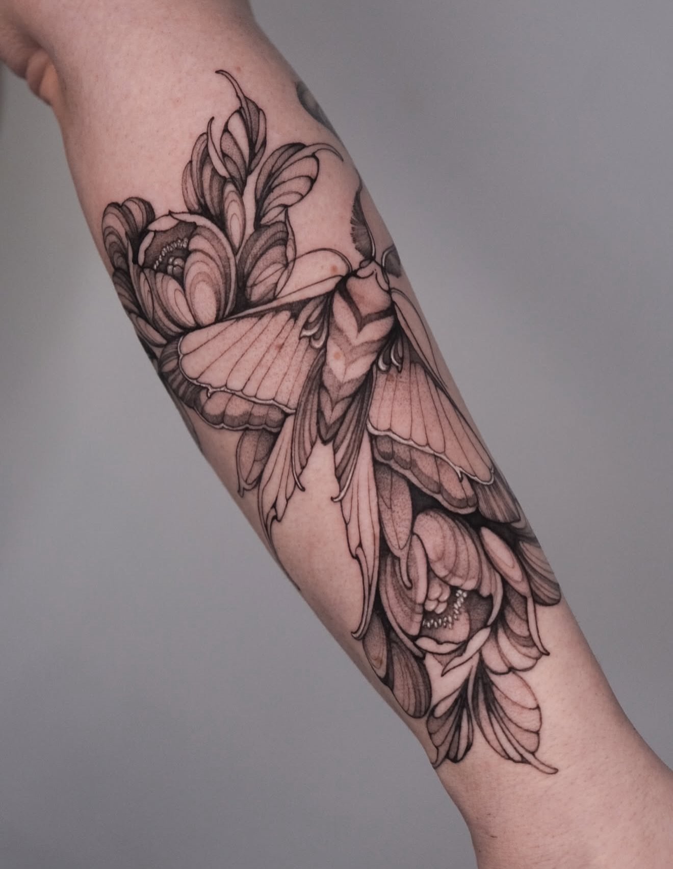 R E S I D E N T  A R T I S T // 
@katia.inks 

E L Y S I A N  T A T T O O  C O // @elysiantattooco