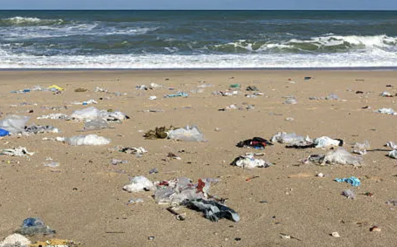 It is time for South Africa to ban single-use plastic