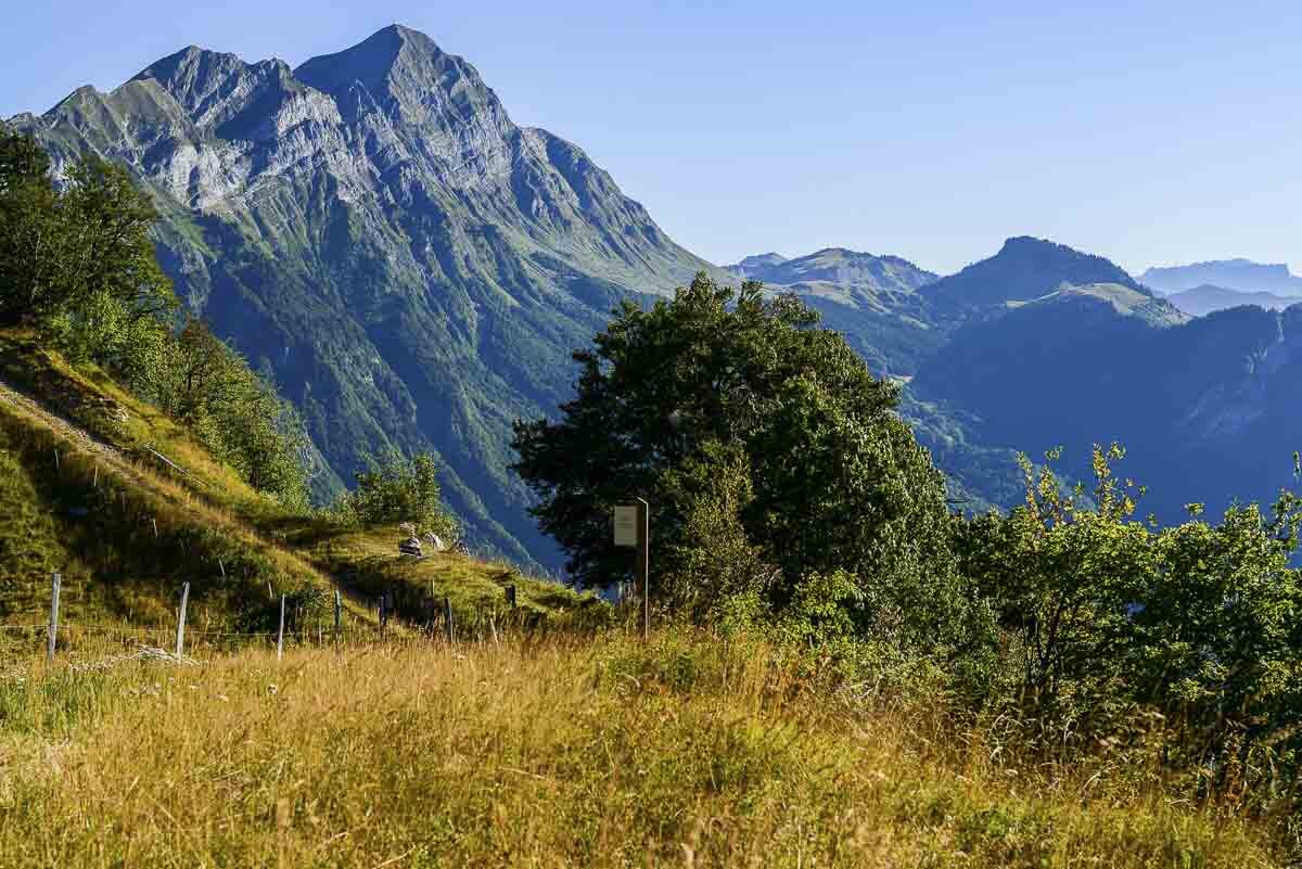 MONT CHARVIN - ÉTÉ