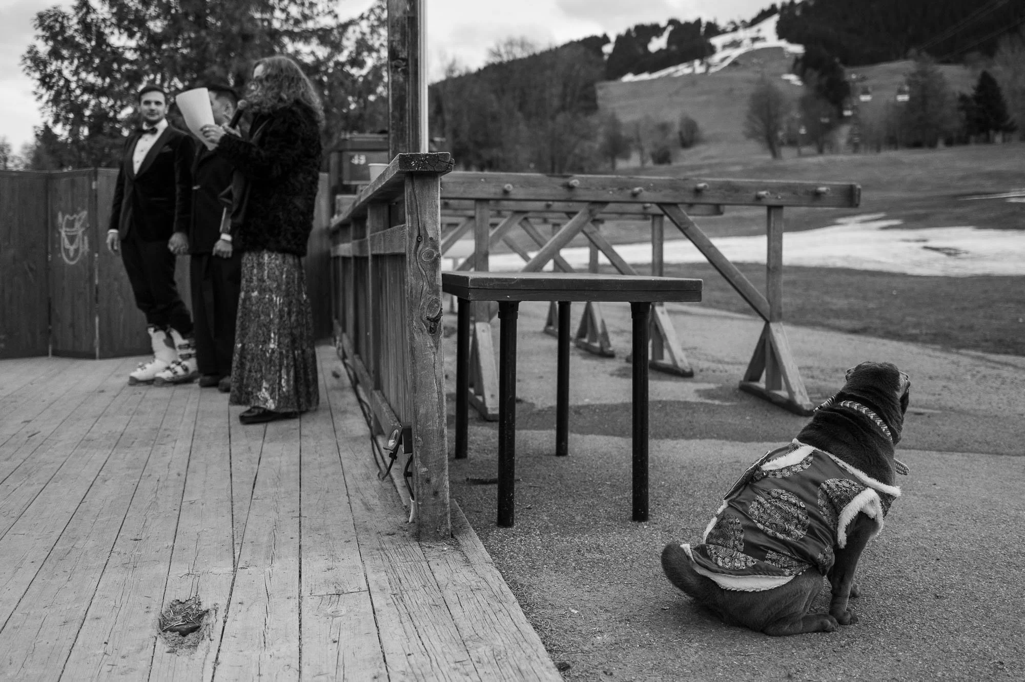 Trois personnes en costume et un chien assis à l'extérieur, avec une montagne en arrière-plan.
