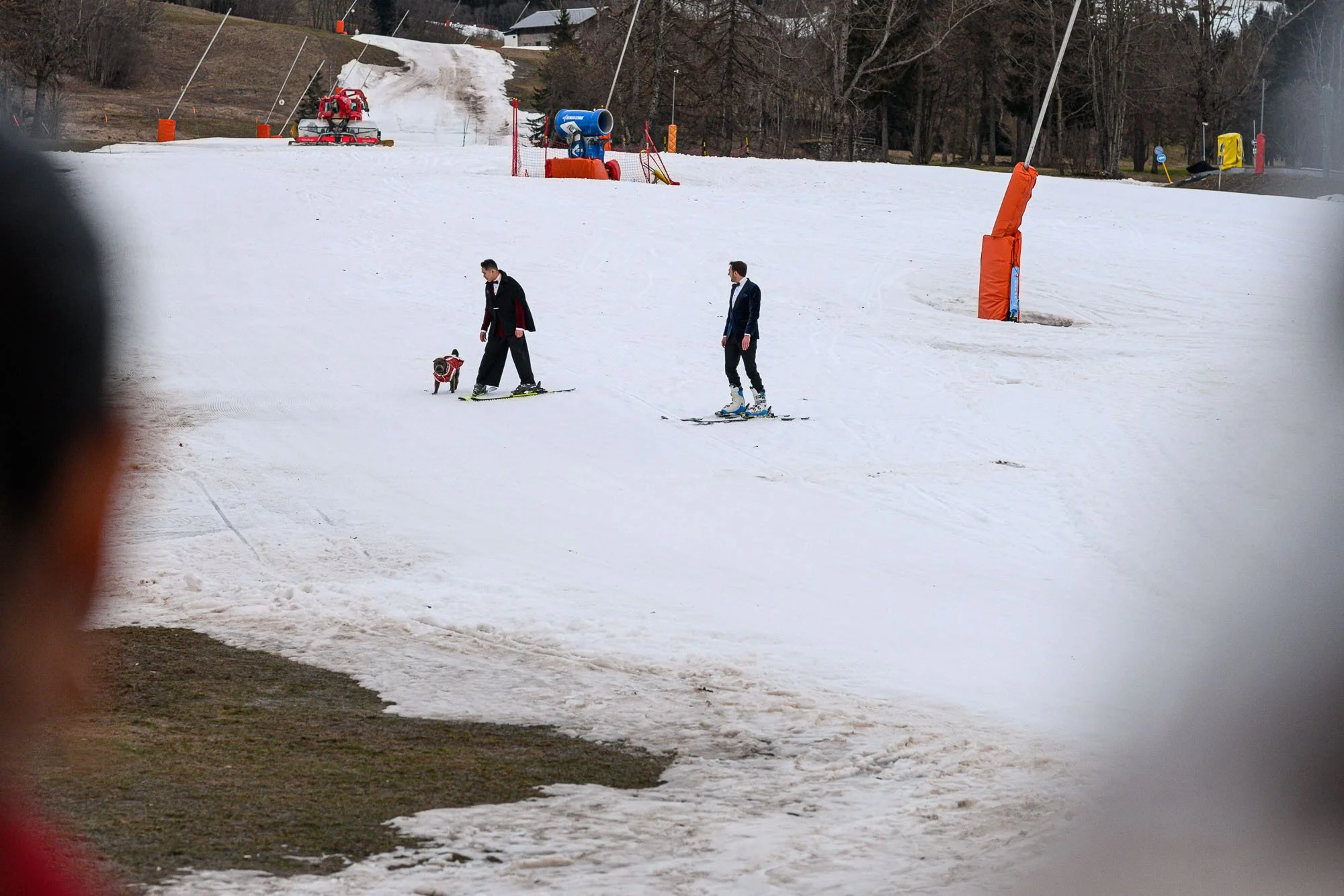 deux hommes en costume skiant avec un chien sur une piste de ski à neige incomplète, vue partielle depuis une fenêtre ou un cadre