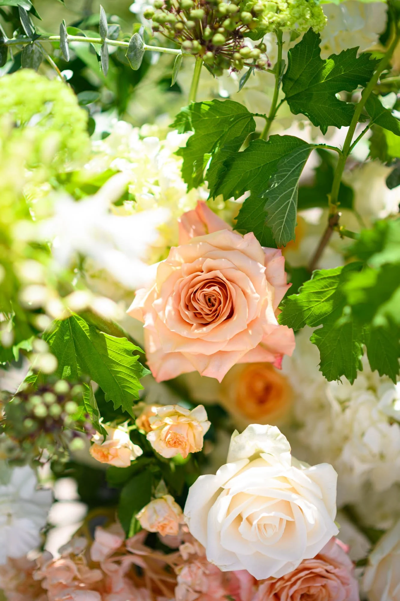 Fleurs de roses blanches et roses en bouquet avec feuillage vert.