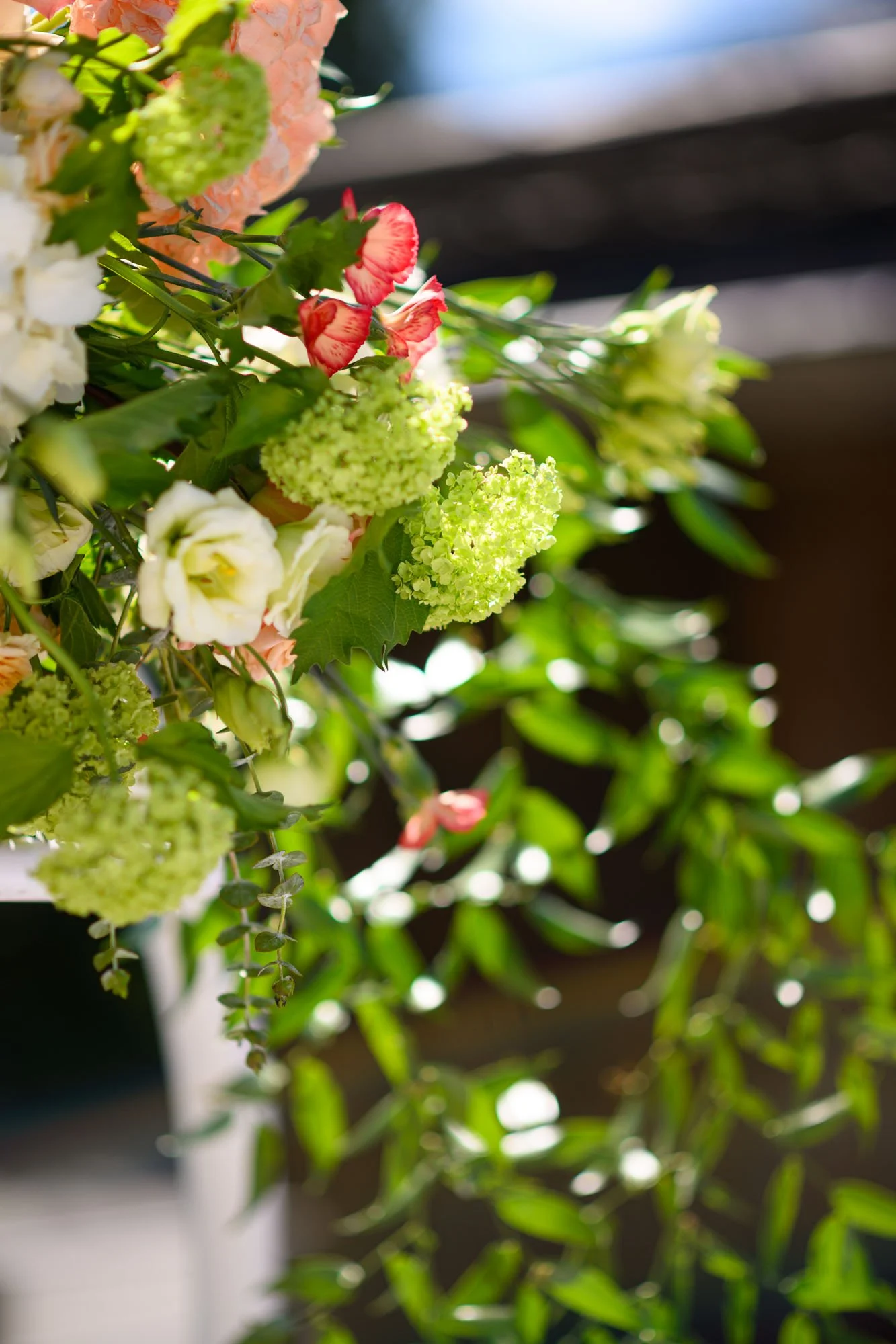 Un arrangement floral composé de fleurs blanches, roses, et des fleurs vertes en forme de boule, entouré de feuilles vertes.