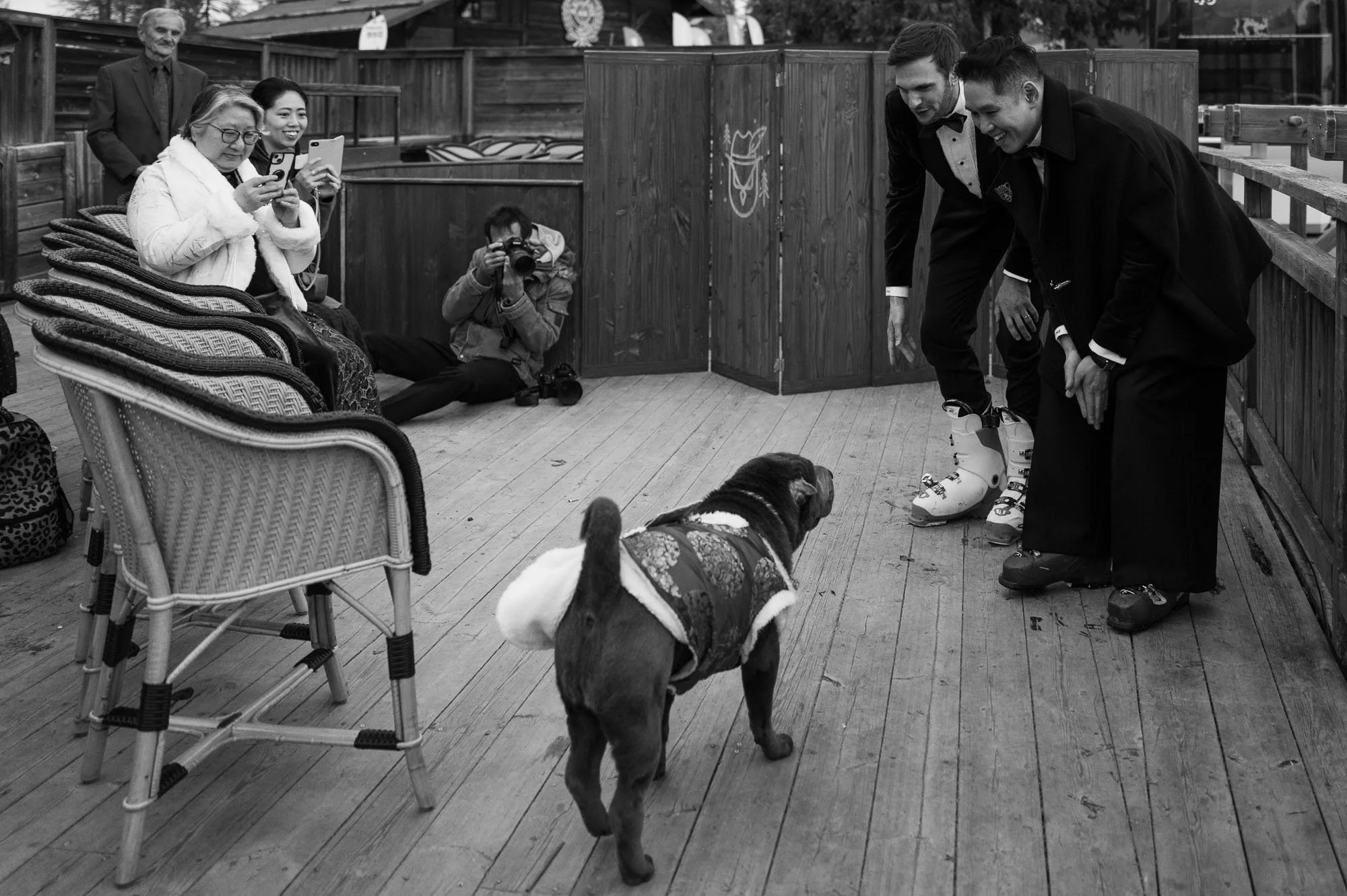 Un chien portant un vêtement réfléchissant et deux personnes en costumes traditionnels ou dans des tenues formelles tandis que d'autres prennent des photos dans un espace en bois, avec des personnes assises et quelques unes debout derrière.