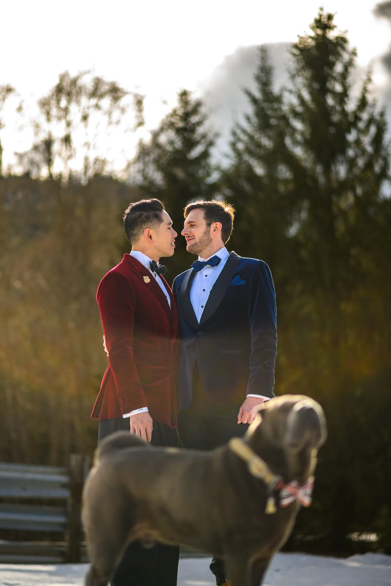 Deux hommes habillés en smokings élégants se regardent tendrement en plein air avec un chien en avant-plan. Arrière-plan de forêt et ciel en nuages.