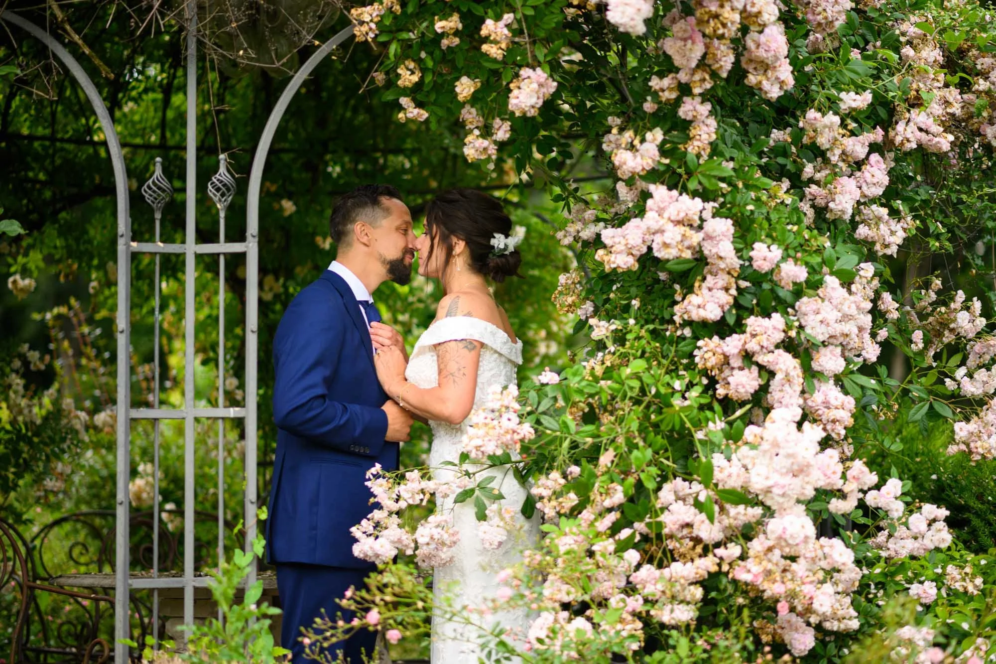 Un couple en mariage s'embrasse devant une arche de jardin ornée de roses roses et blanches.