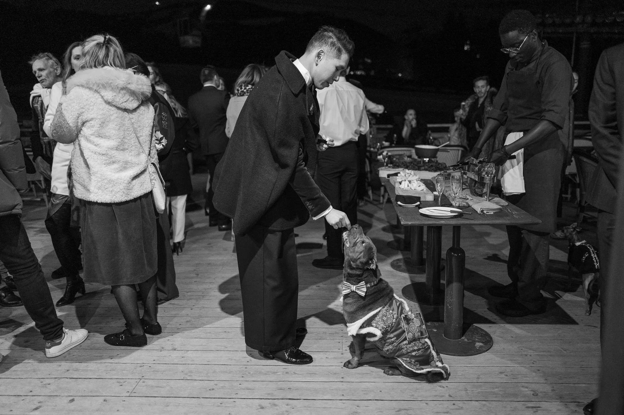 Un homme habillé élégamment donne un biscuit à un chien habillé d'un costume, dans une salle animée avec d'autres personnes en arrière-plan.