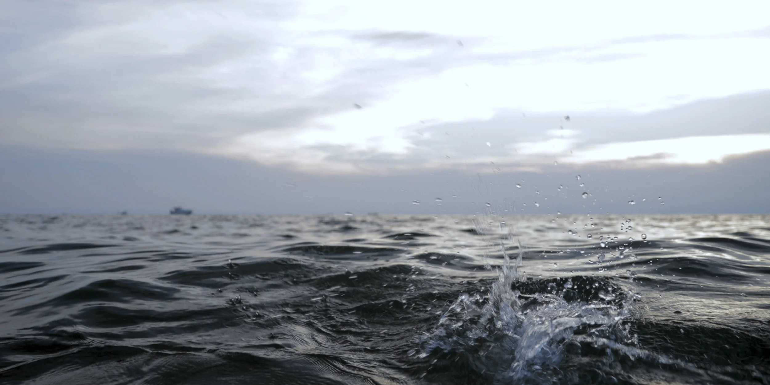 REEL 2019.352.Still001.jpg