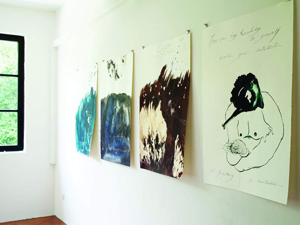 Useful Fictions by Shubigi Rao [2013]