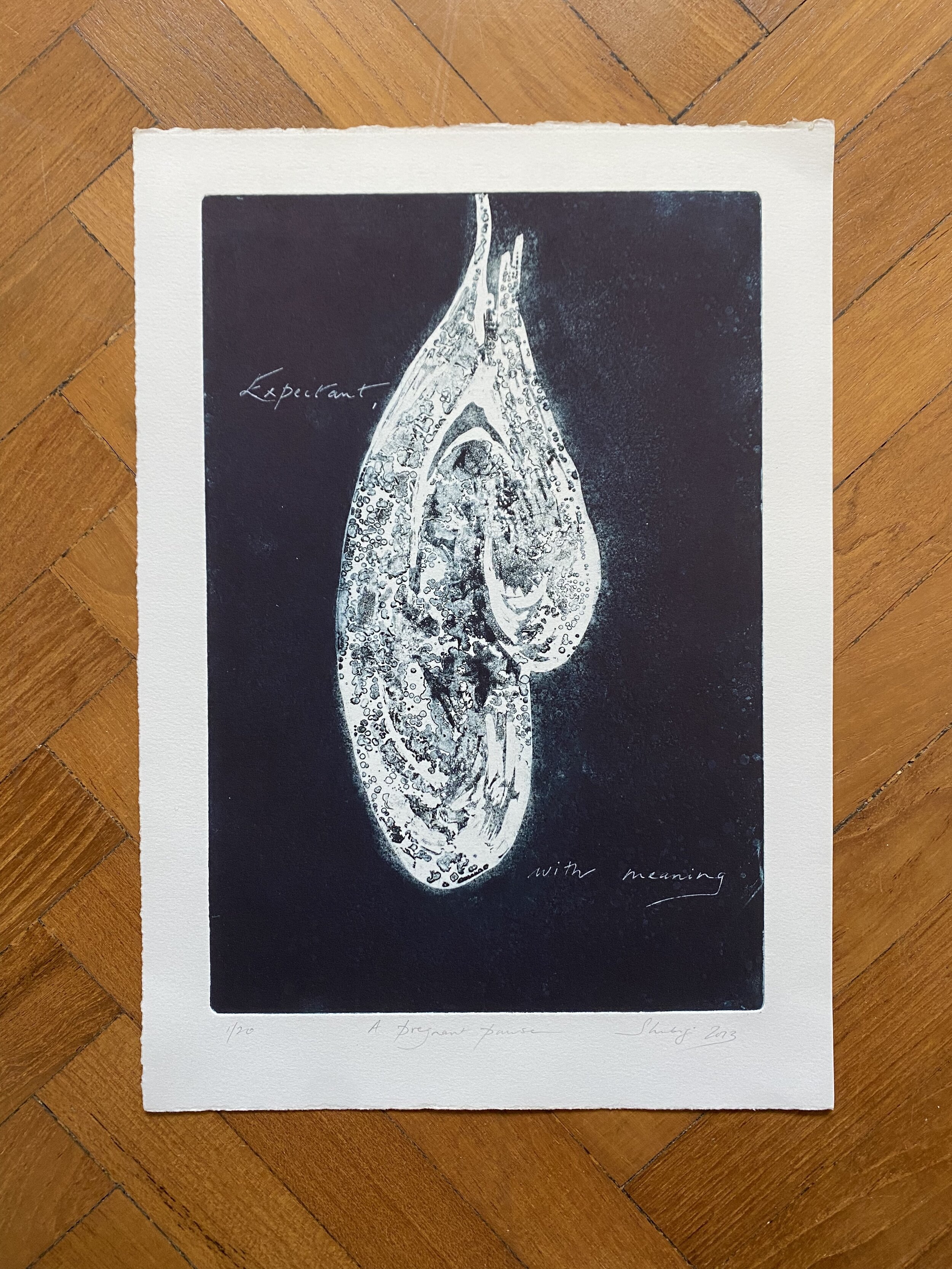 Misapprehended Objects