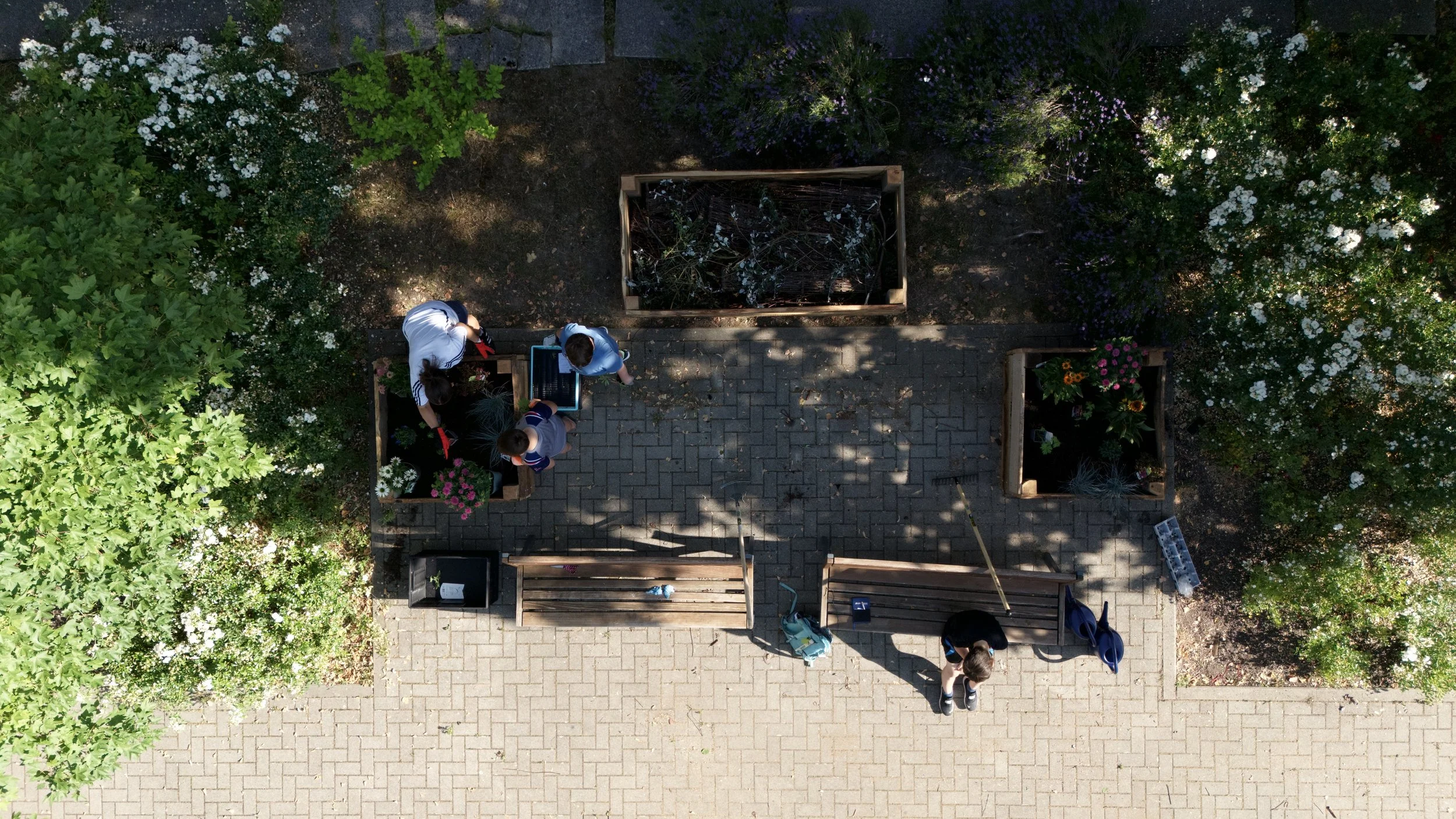 dji_fly_20260626_085240_0564_1783176052019_photo.JPEG