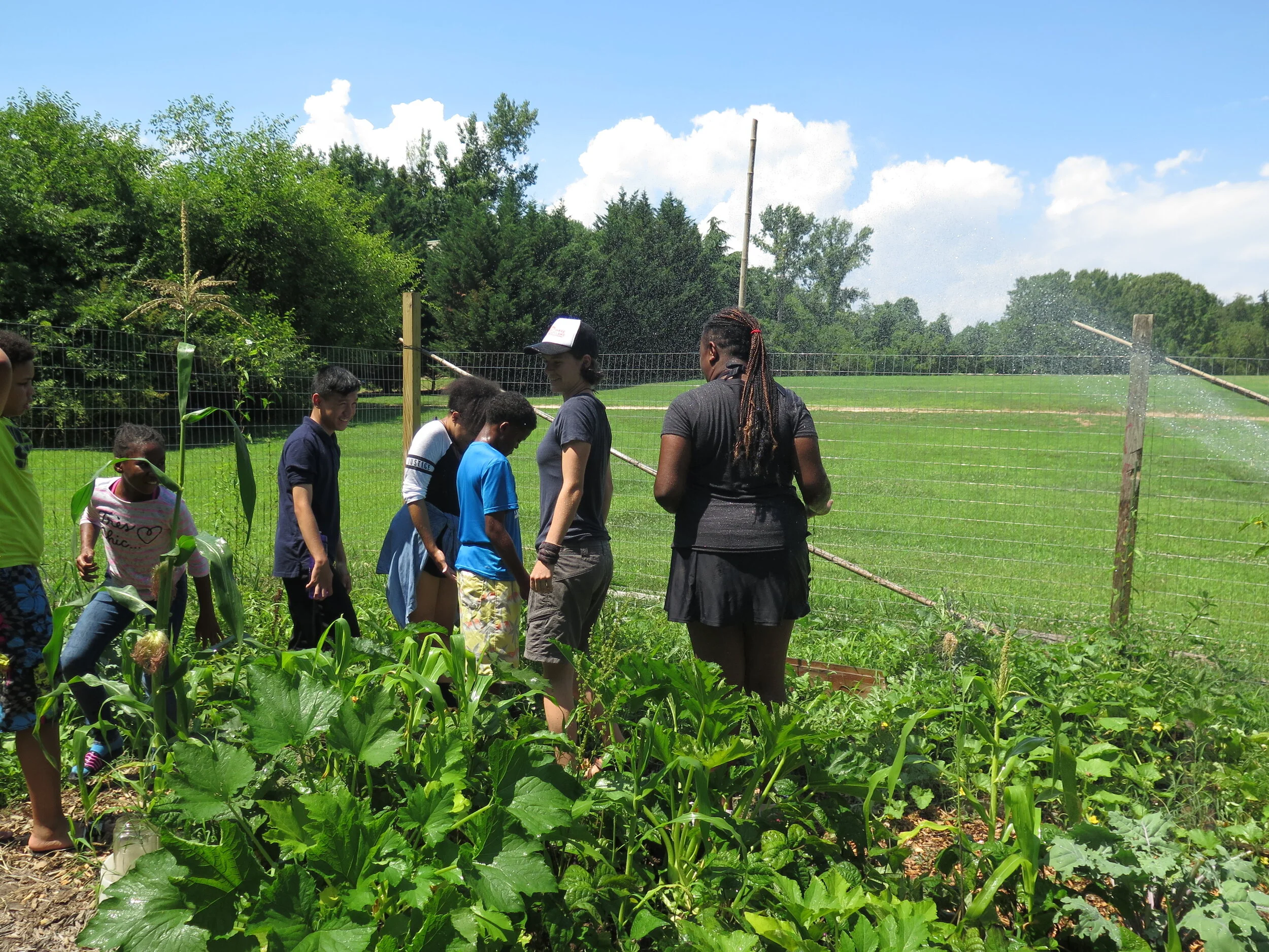 Bmore Repeat Garden.JPG