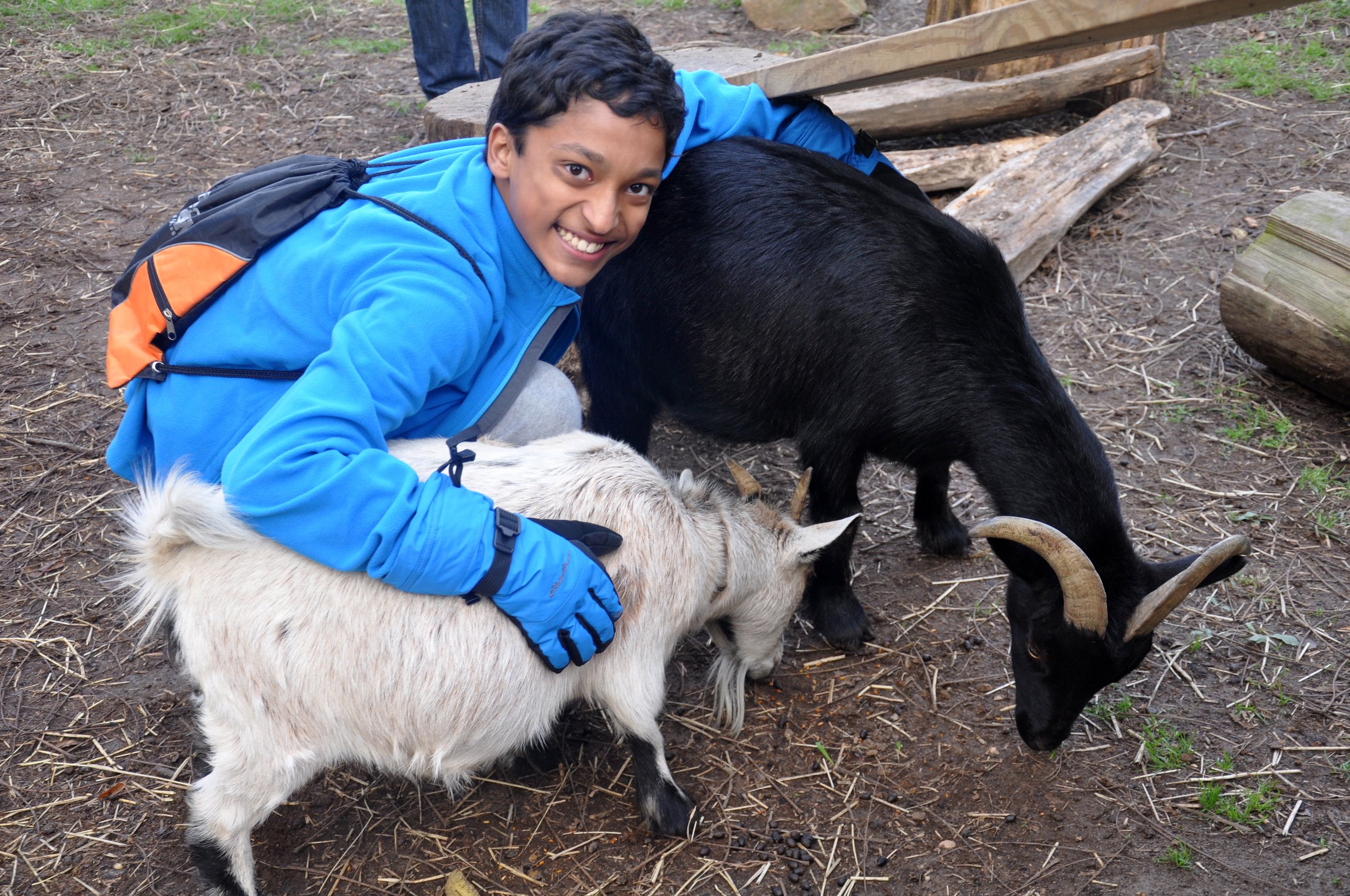 Students learn how species evolve and adapt