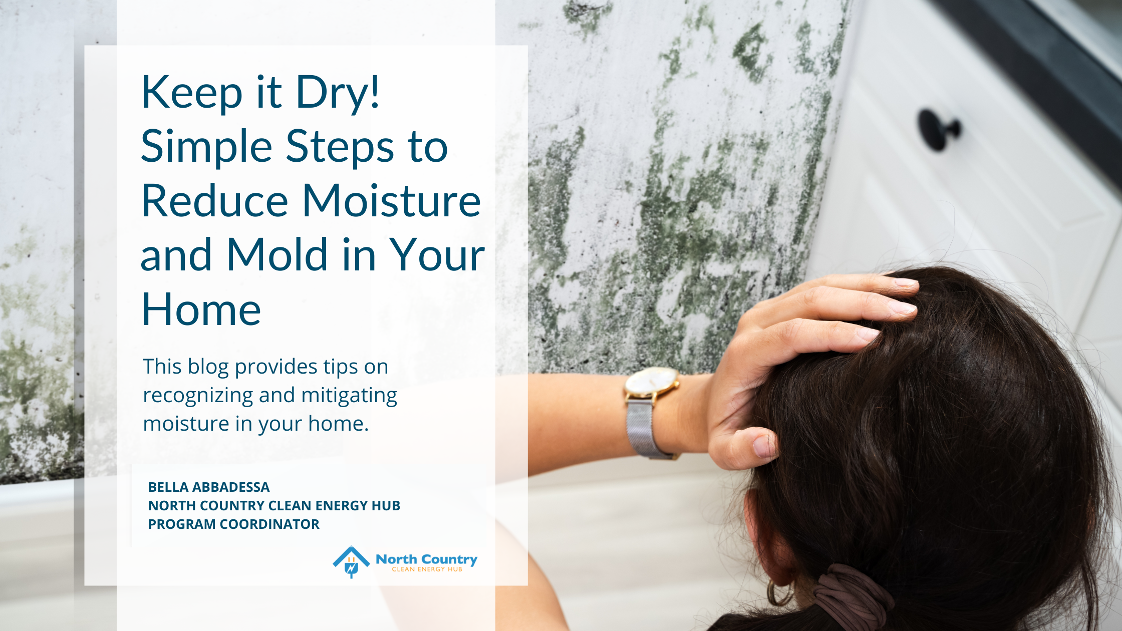 Keep it Dry! Simple Steps to Reduce Moisture and Mold in Your Home