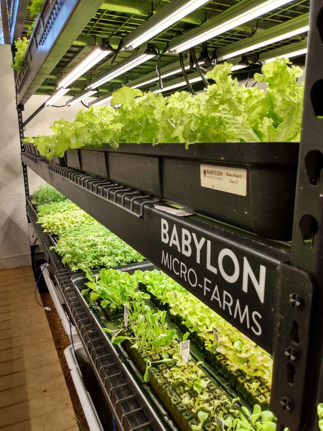 assisted living facilities in richmond va on 5 Innovative Food And Dining Trends In Senior Living Babylon