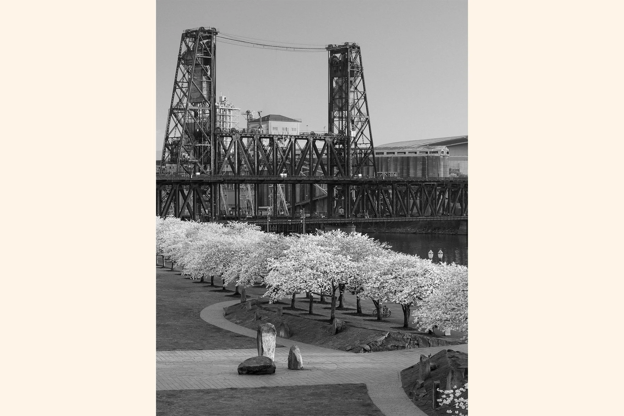 steel-cherry-rock-black-and-white-portland-waterfront-steel-bridge-cherry-blossoms-spring-morning-landscape-photography-brendan-alex-phoenix.jpg