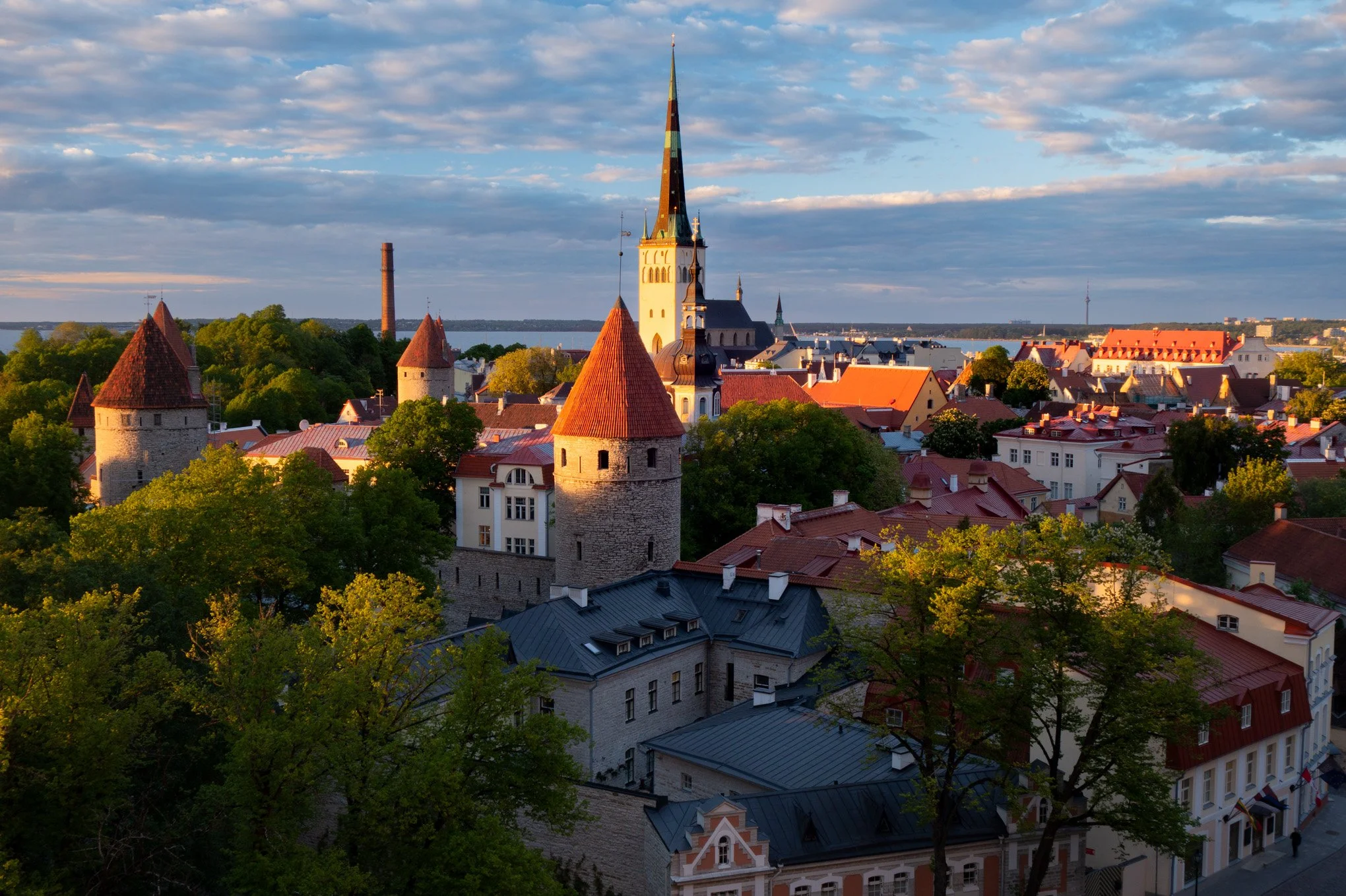 medieval-tallin-display-image-brendan-alex-phoenix.jpg