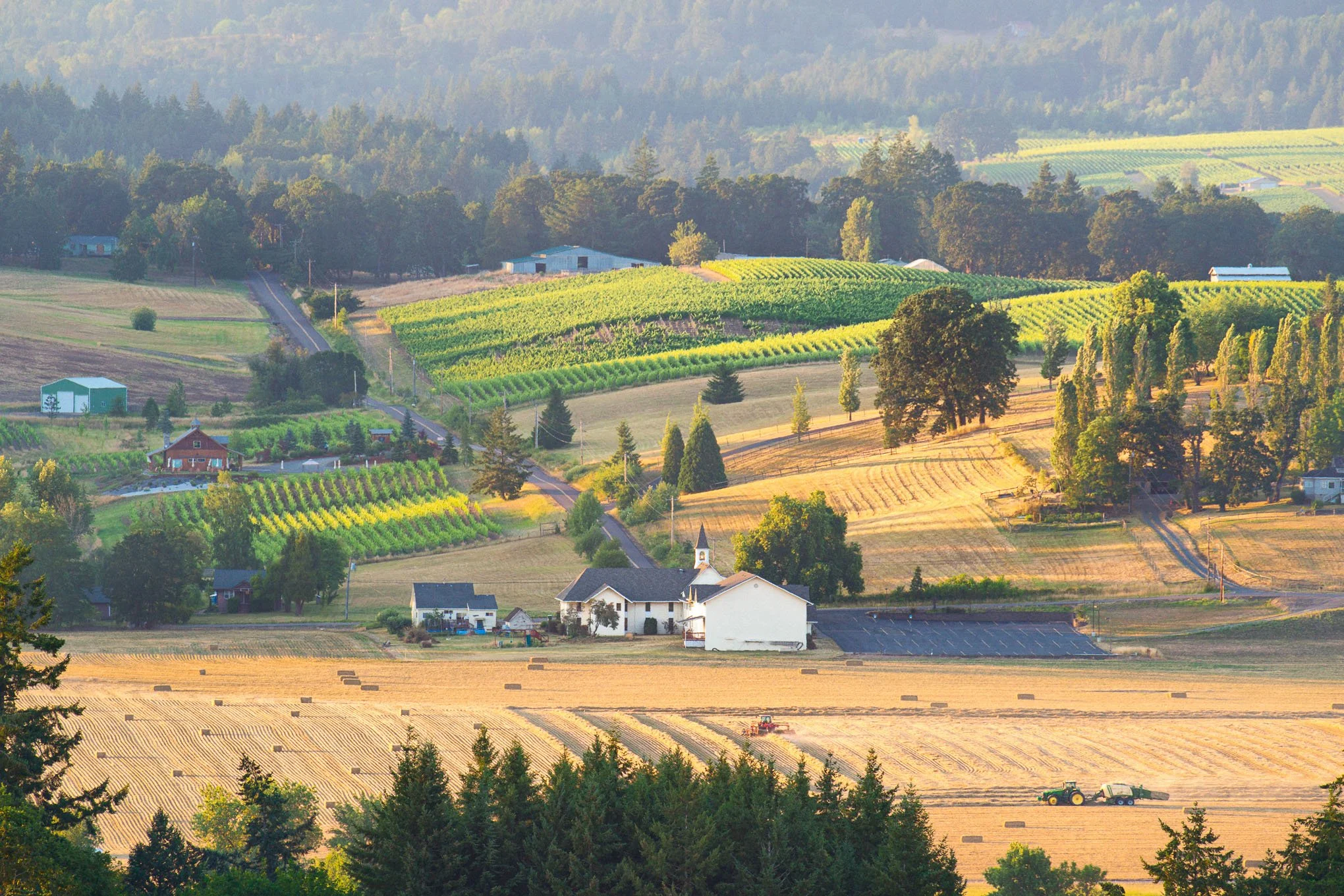 chehalem-harvest-wheat-fields-newberg-oregon-landscape-photography-brendan-alex-phoenix.jpg
