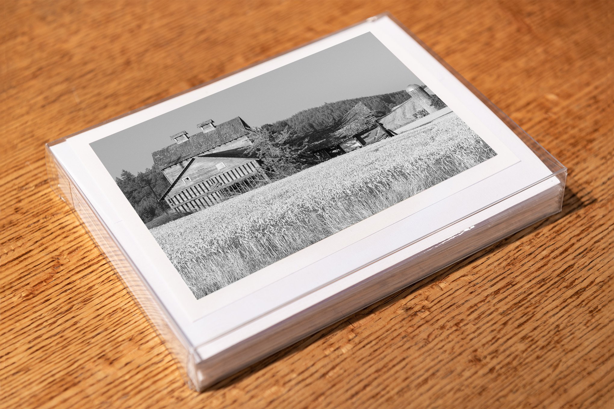 golden-valley-black-and-white-greeting-card-mockup-brendan-alex-phoenix.jpg